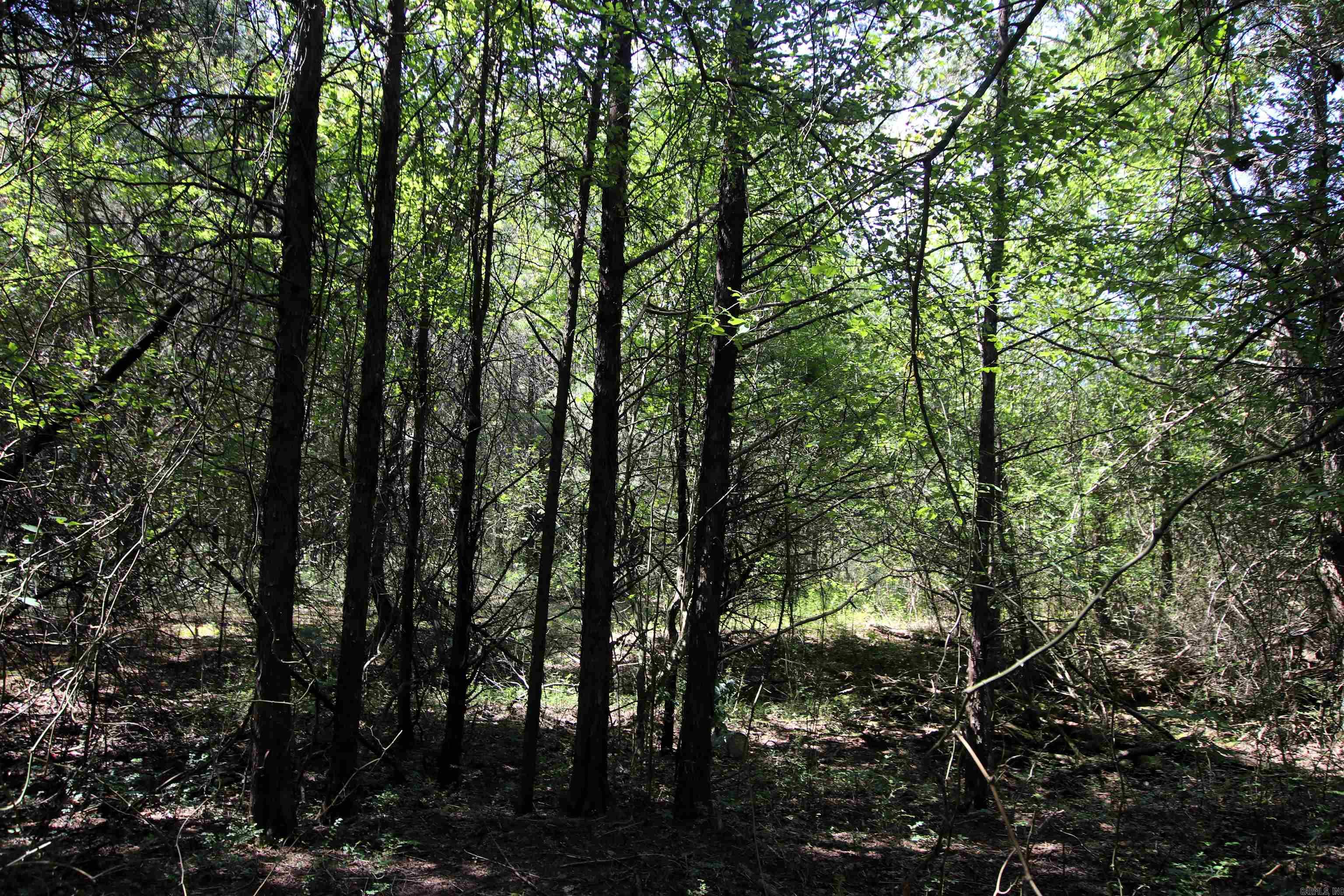 128 Smokey  Center Ridge, AR