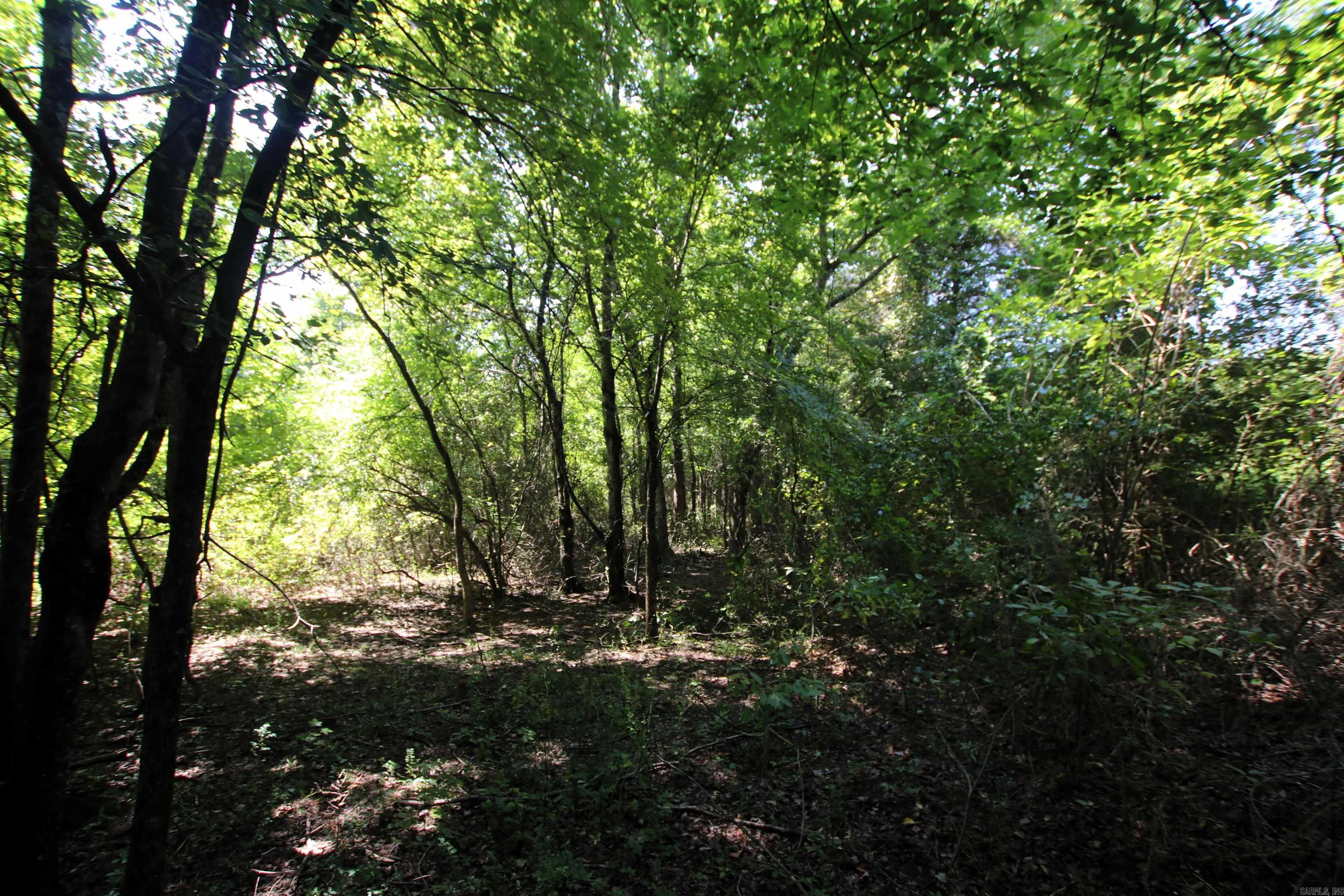128 Smokey  Center Ridge, AR