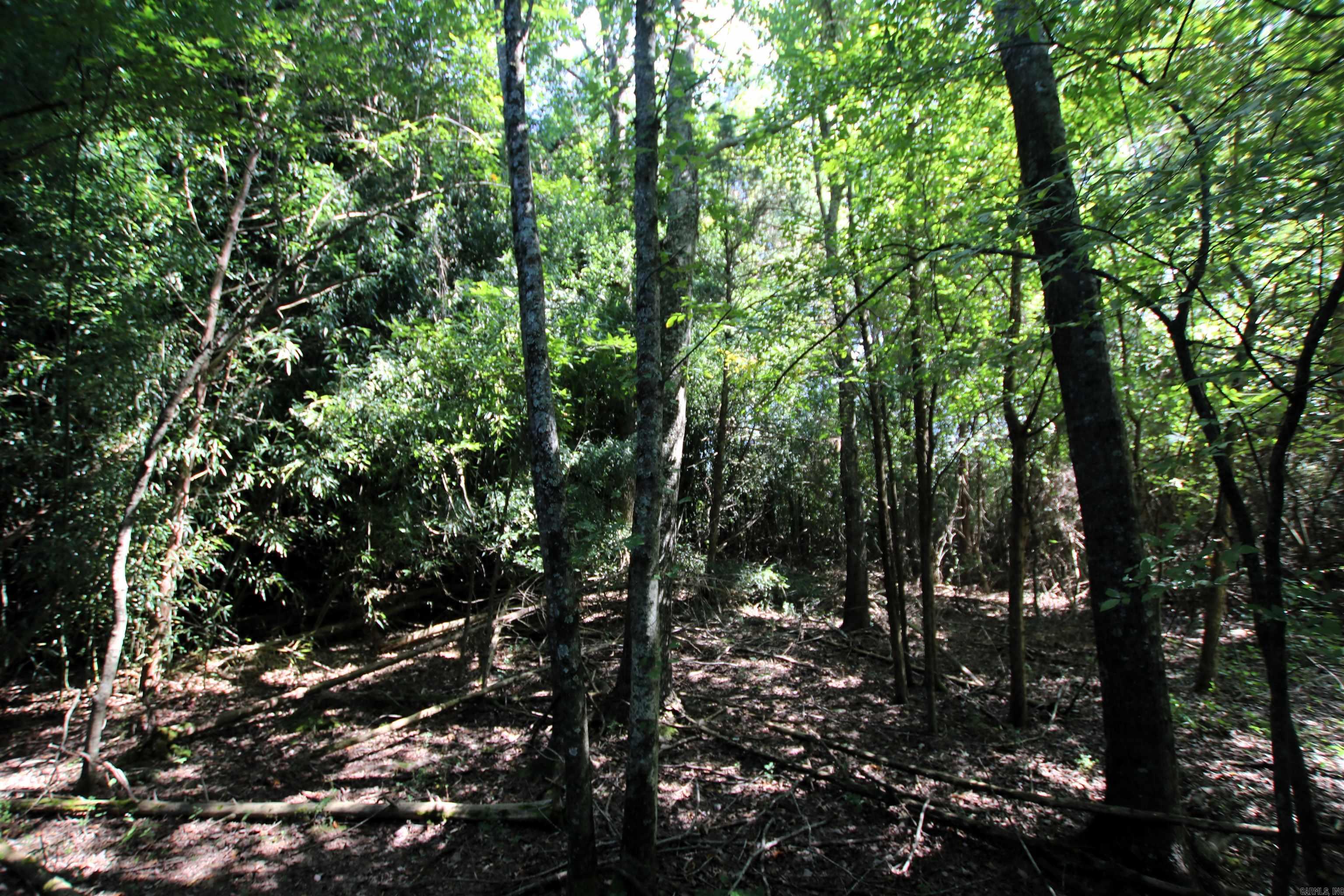 128 Smokey  Center Ridge, AR
