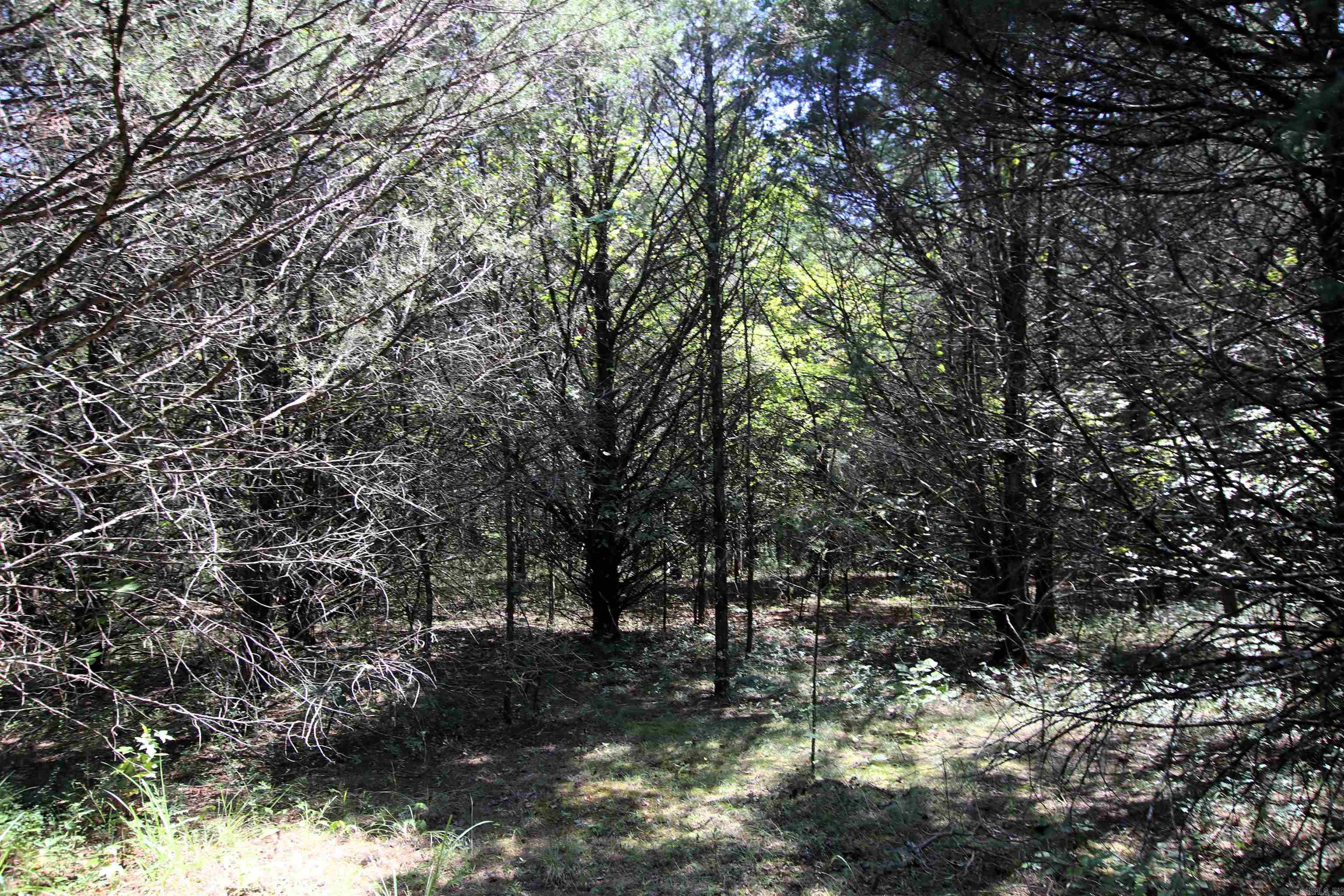 128 Smokey  Center Ridge, AR
