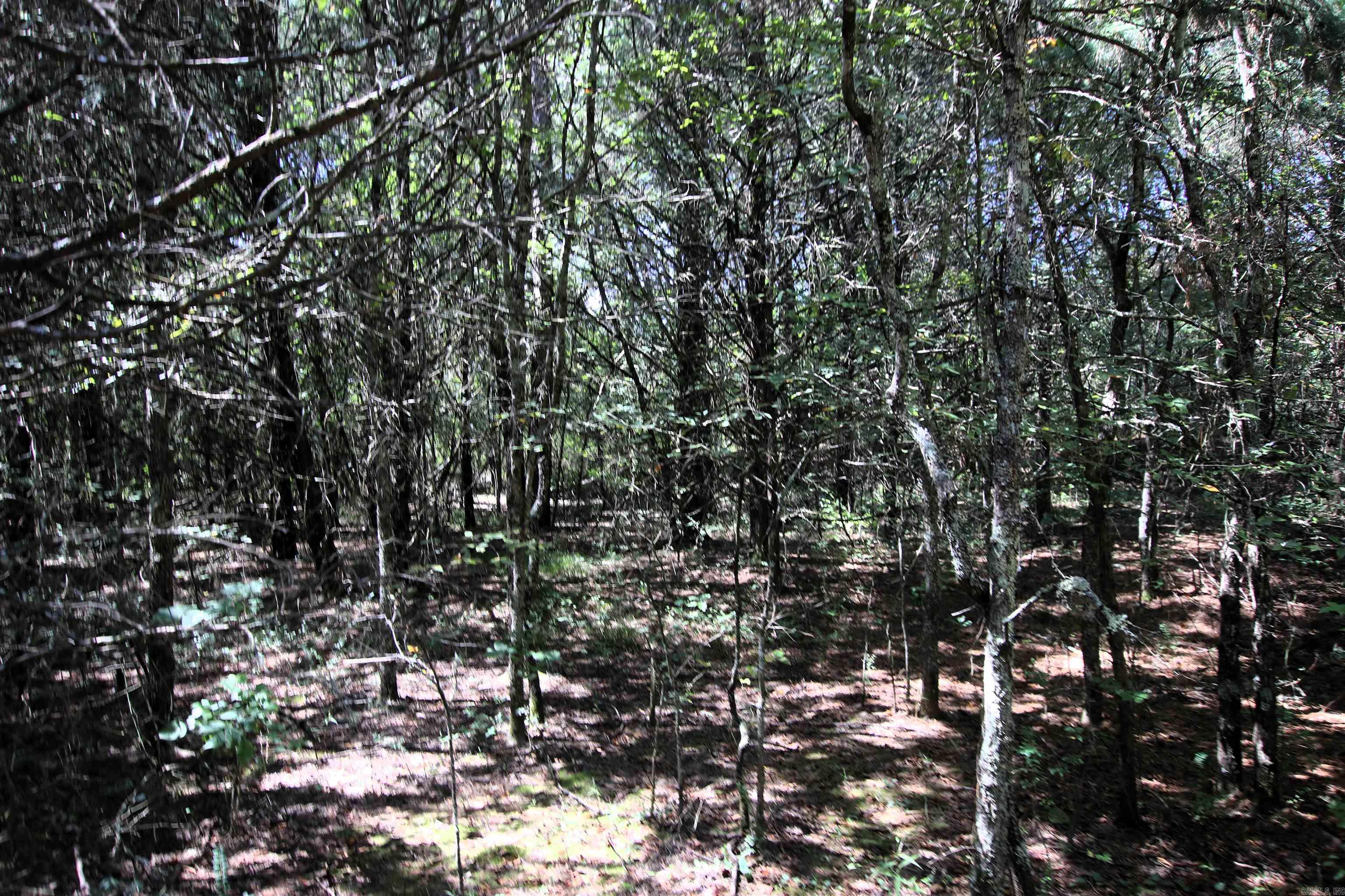 128 Smokey  Center Ridge, AR