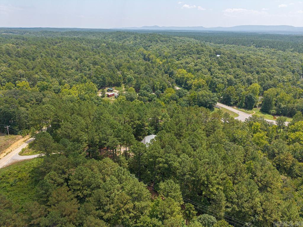 15 Big Bear  Story, AR