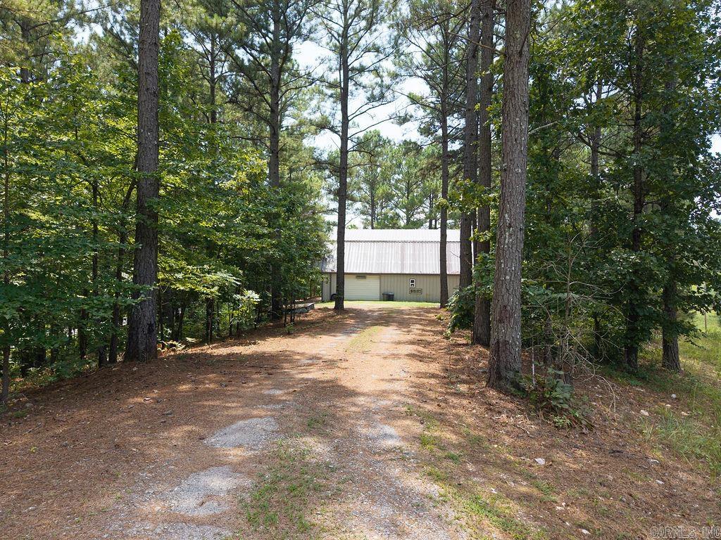 15 Big Bear  Story, AR