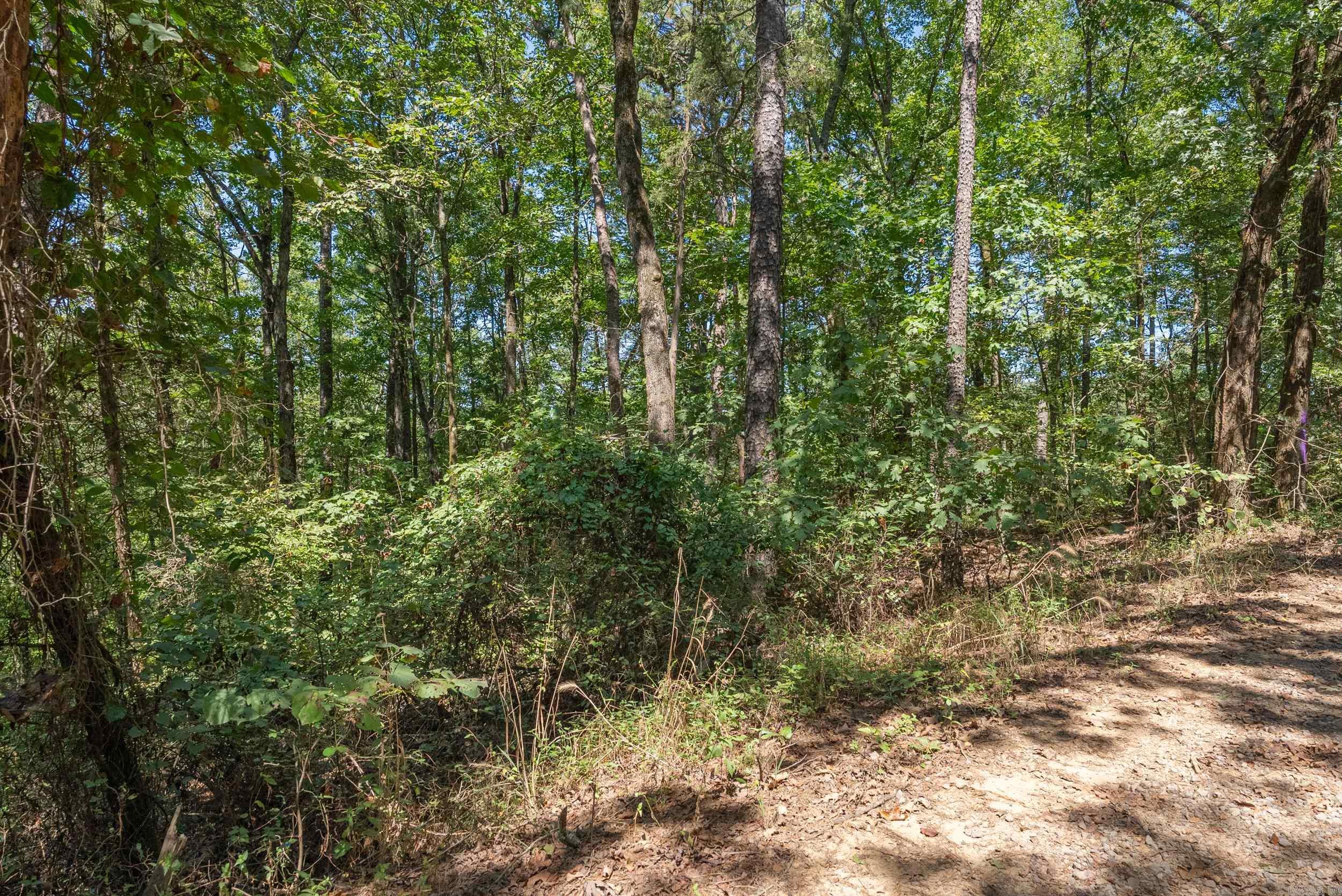 000 Granny Gap 1  Dover, AR
