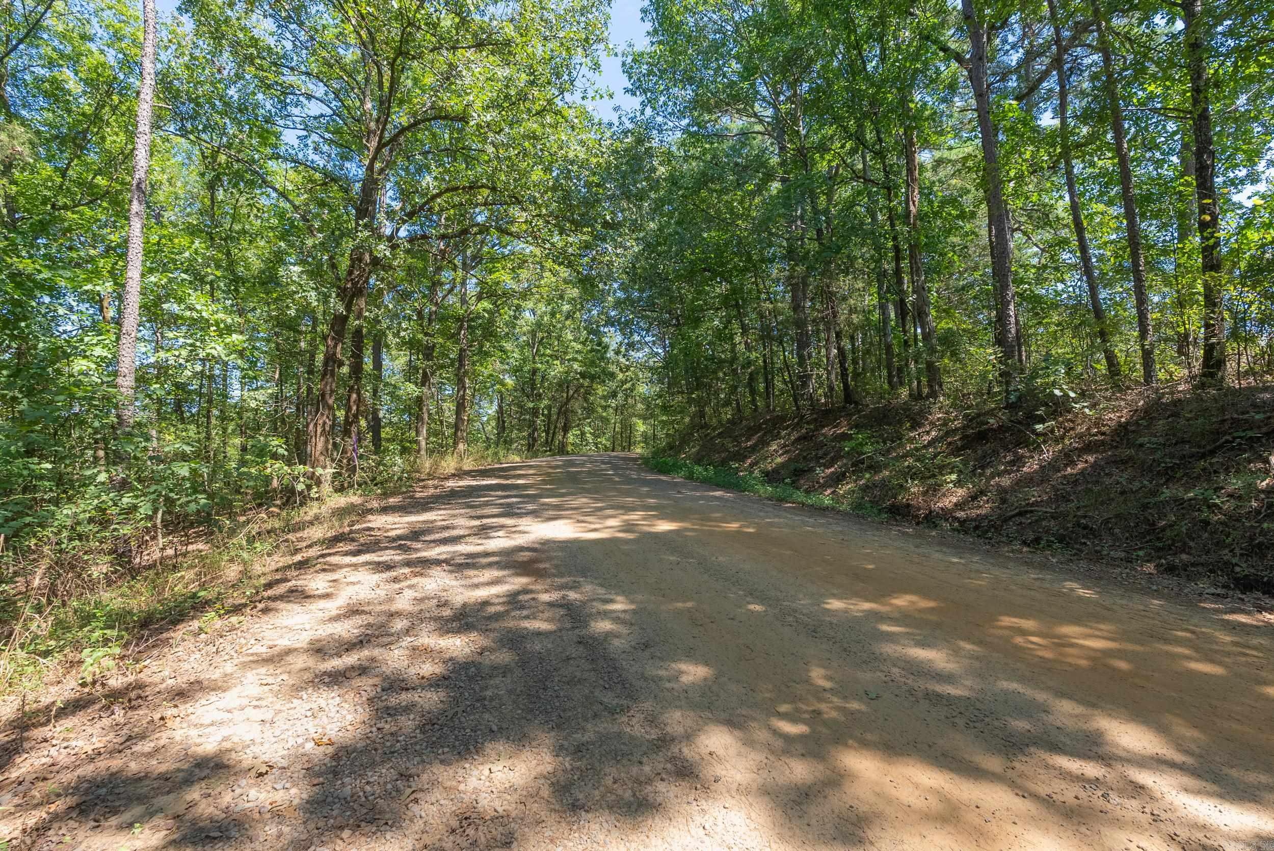 000 Granny Gap 1  Dover, AR