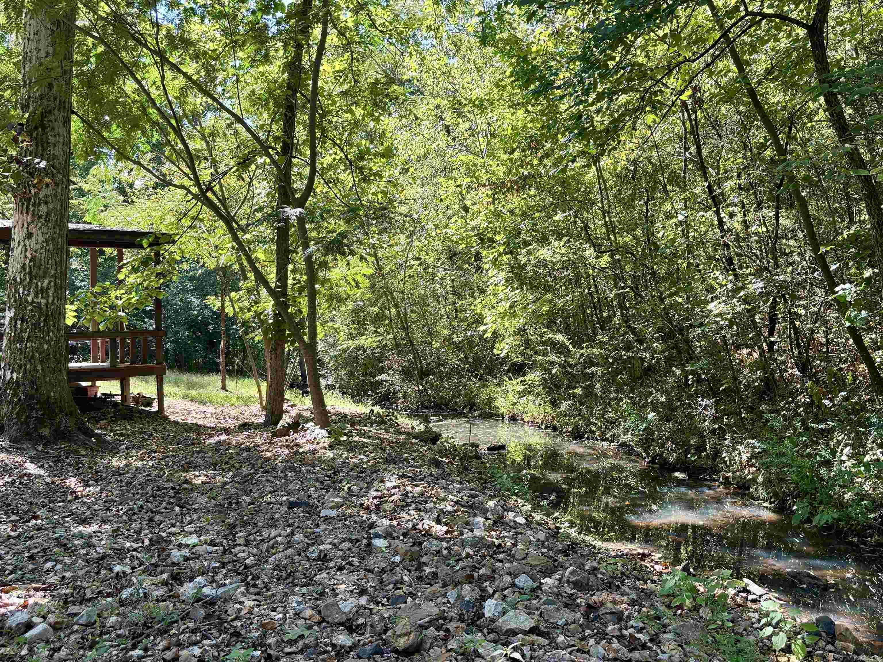 1 Buckboard Ln  Williford, AR