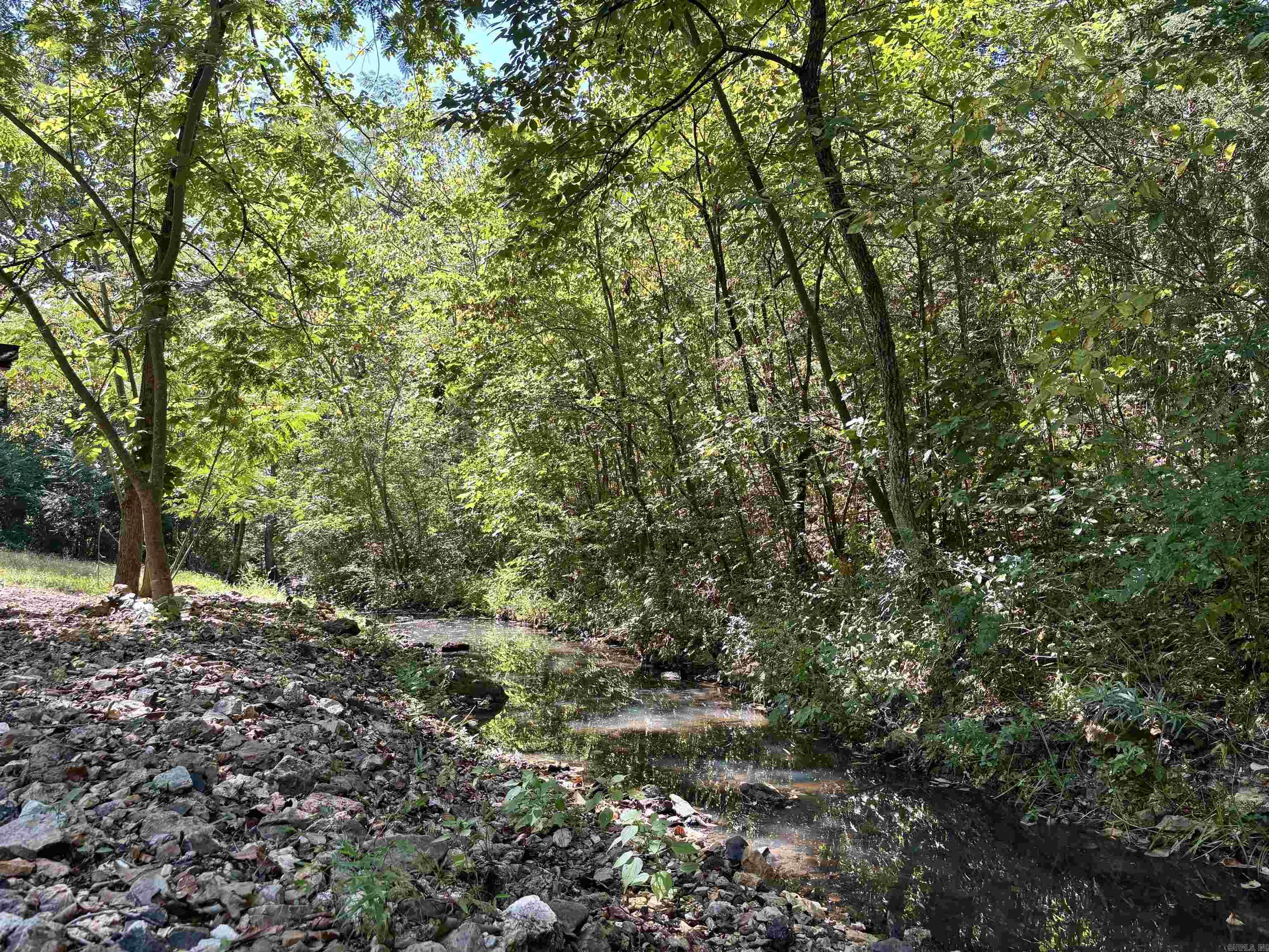 1 Buckboard Ln  Williford, AR