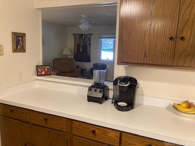22 Constantina  Hot Springs Village, AR