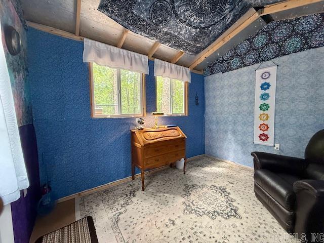 22 Constantina  Hot Springs Village, AR