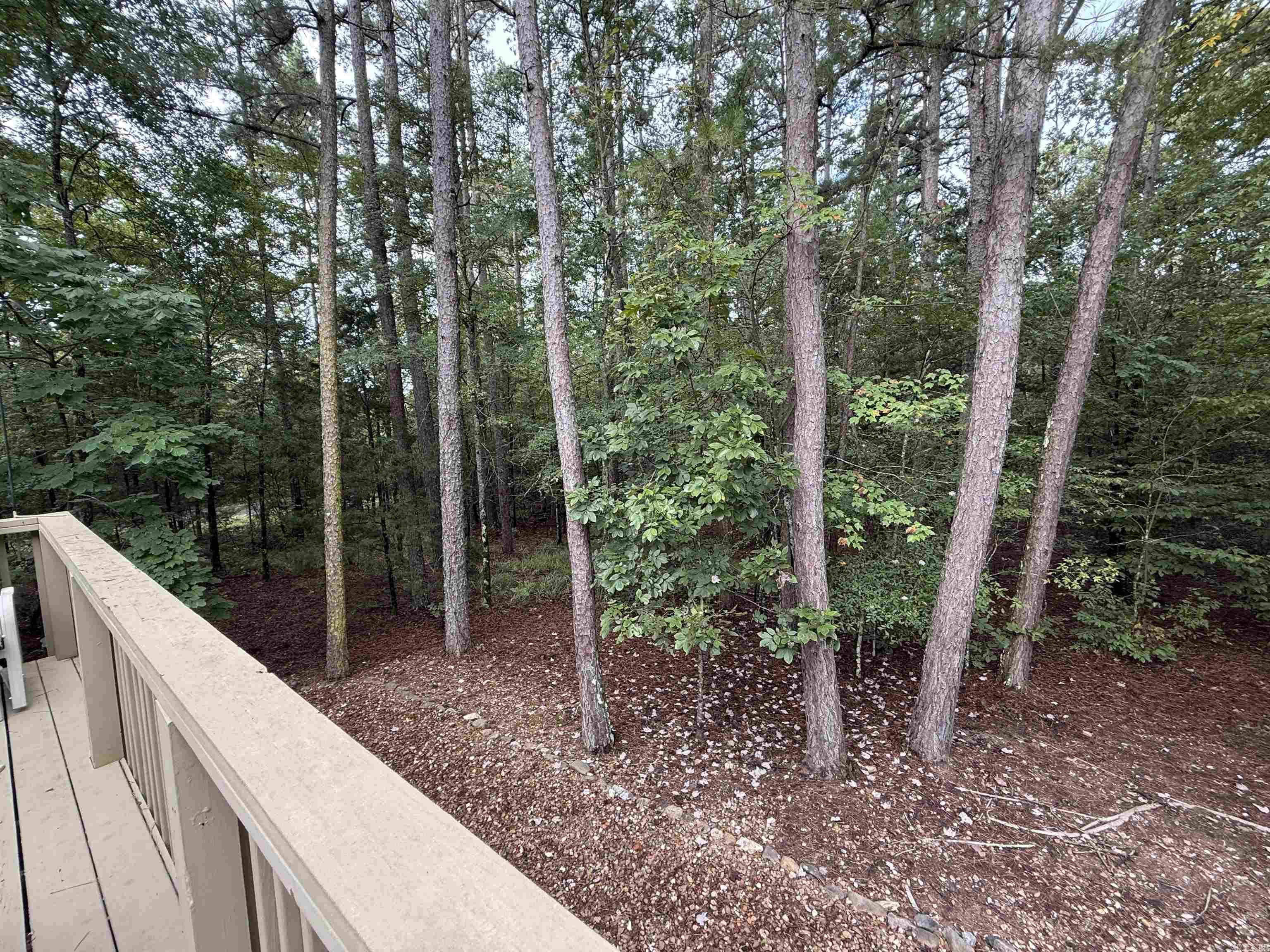 11 Zaragoza Way  Hot Springs Village, AR