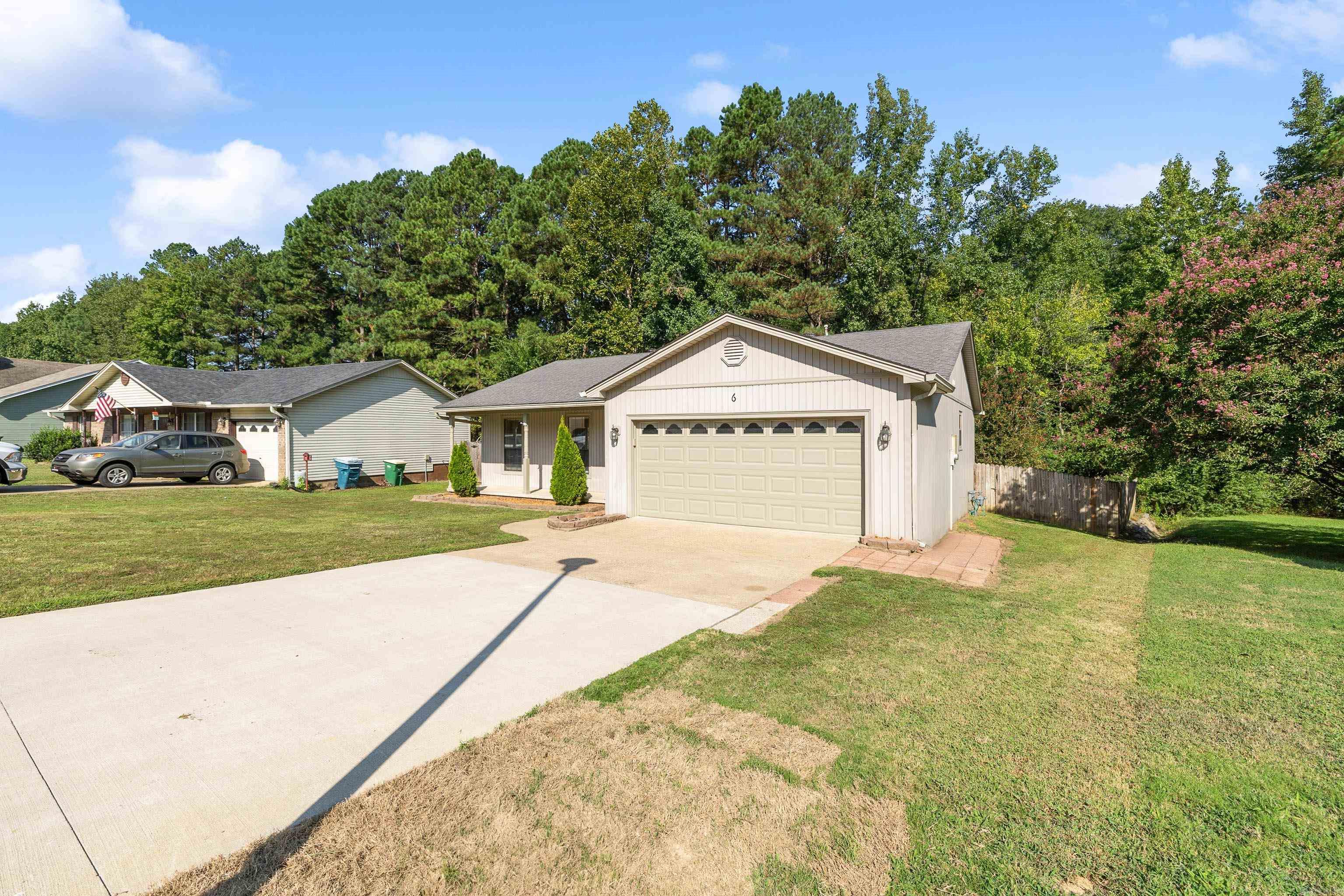 6 Irish Rose  Little Rock, AR