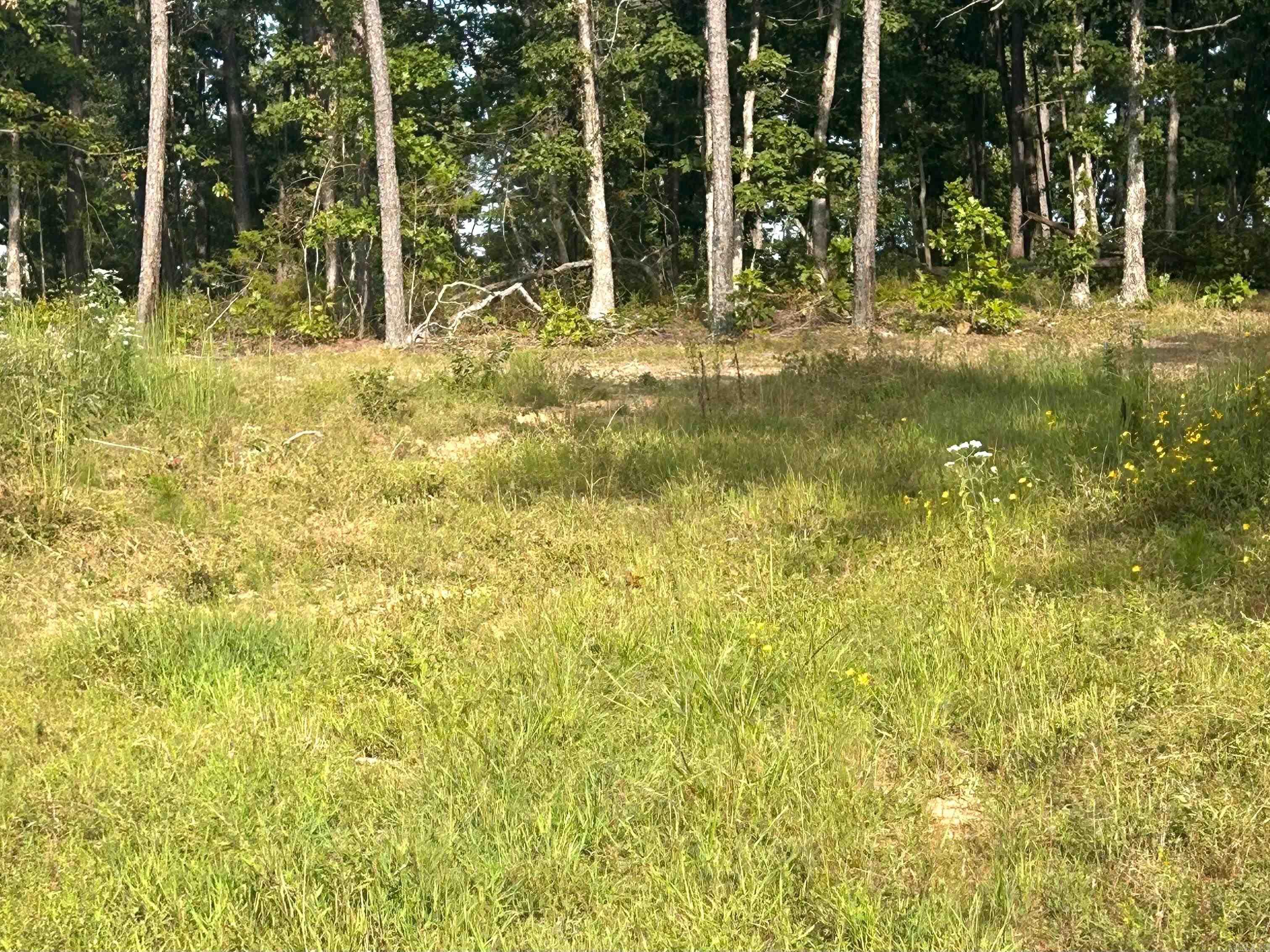 849-889 Presnull  Dennard, AR