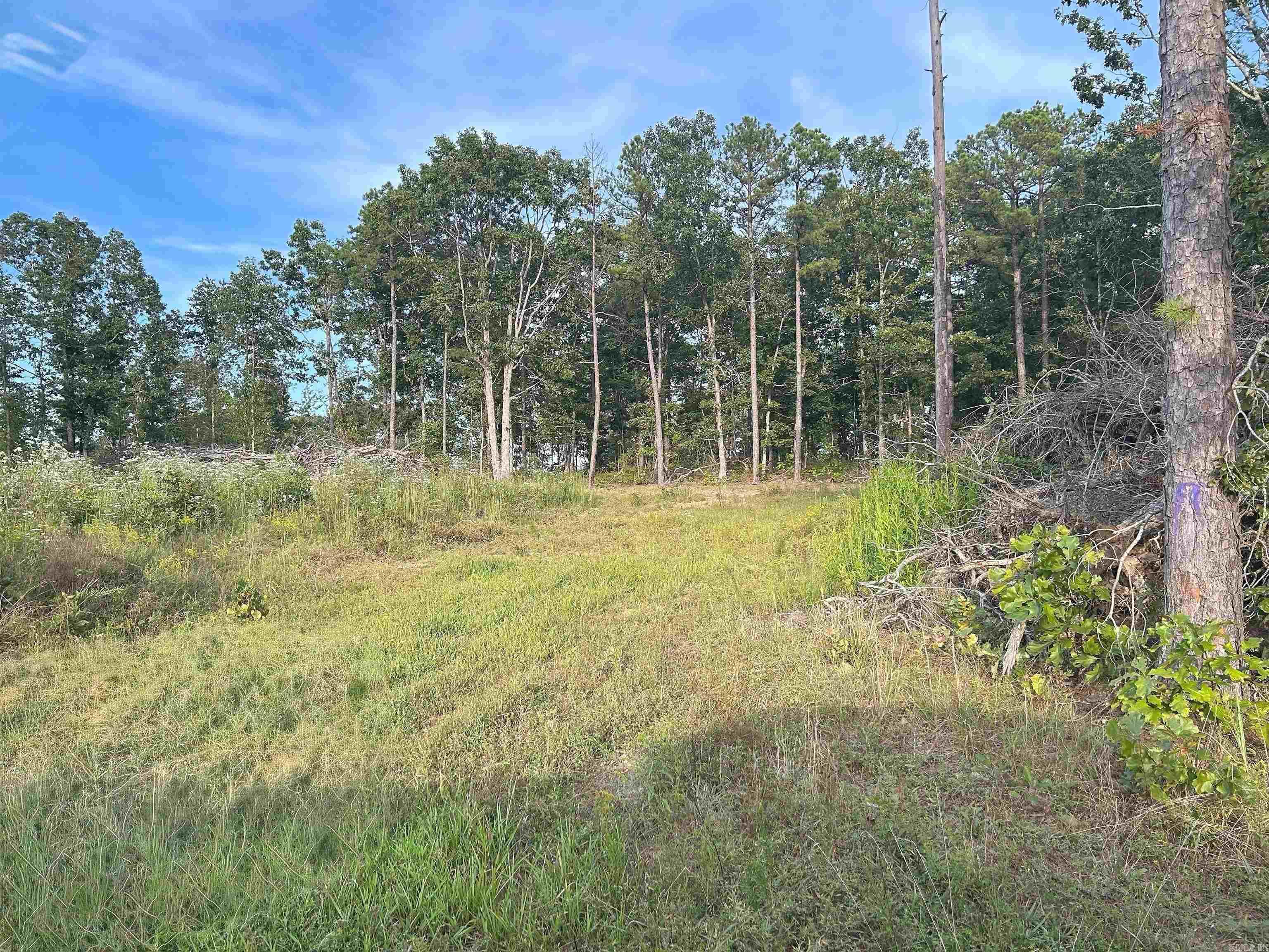 849-889 Presnull  Dennard, AR