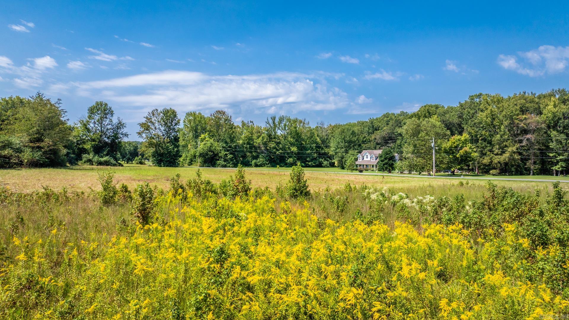 Lot 1 McKenzie  Conway, AR
