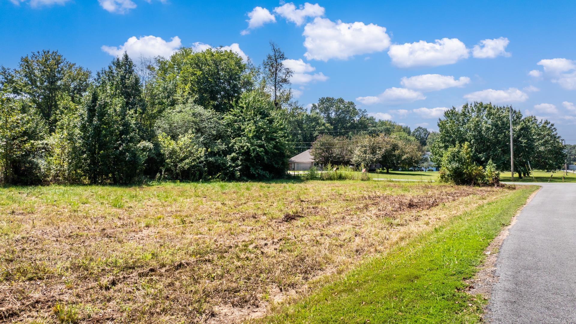 Lot 1 McKenzie  Conway, AR