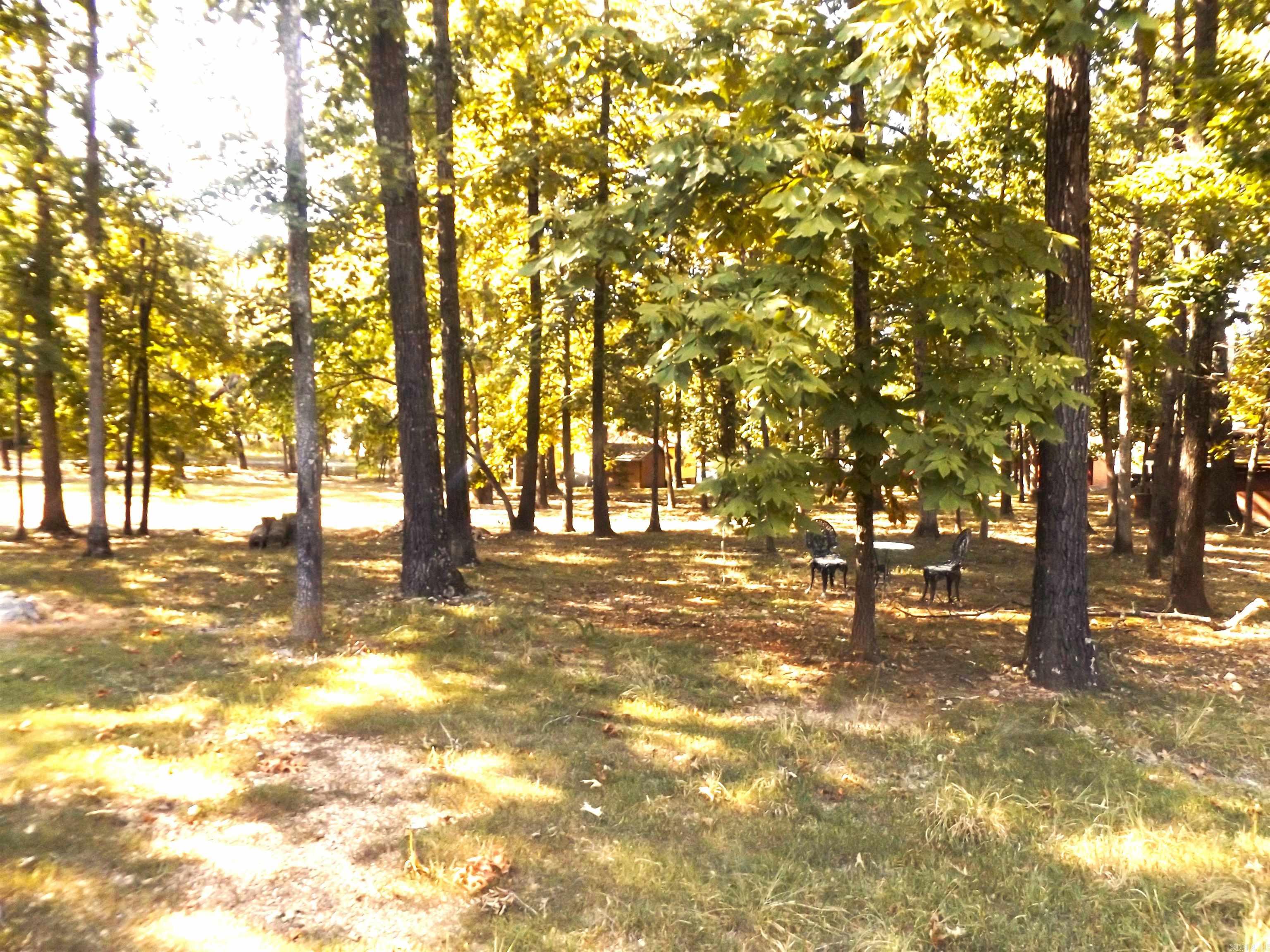 1602 Lakeshore  Bull Shoals, AR