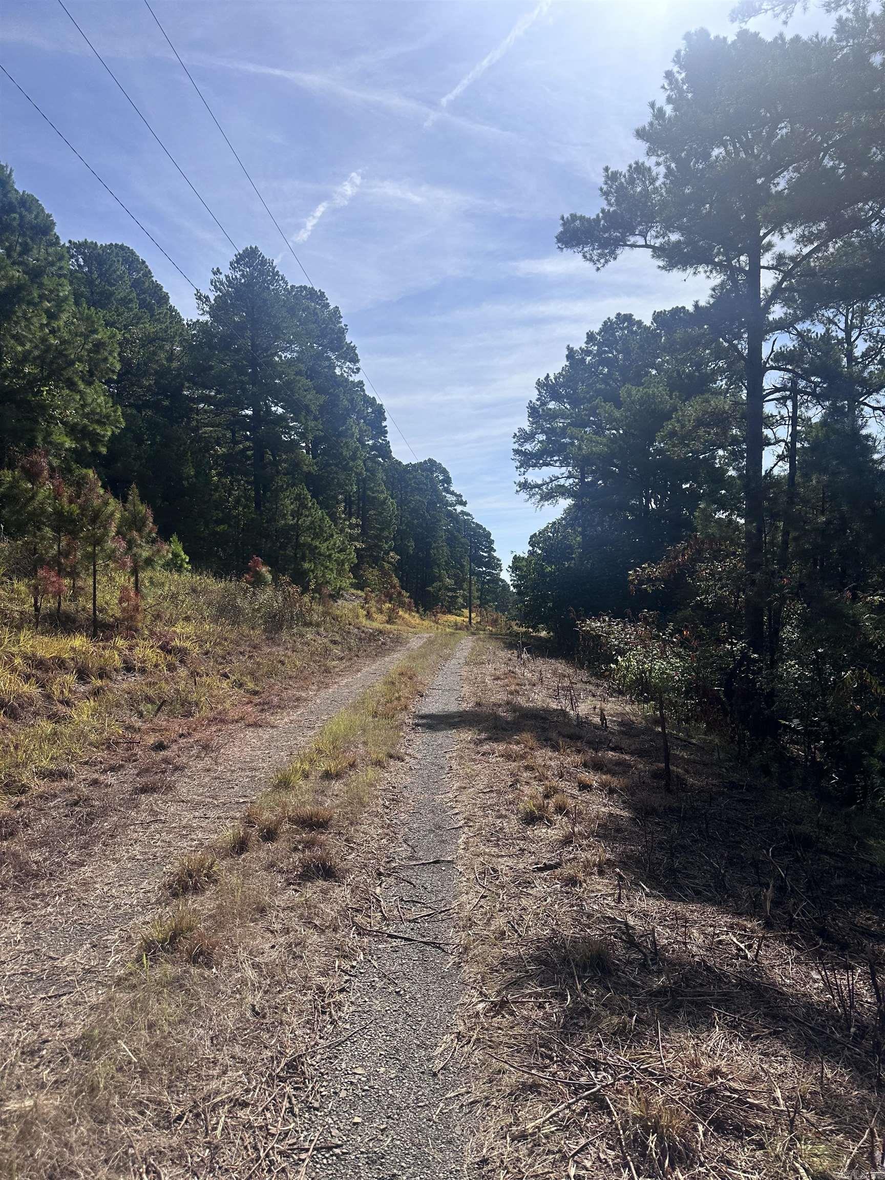 000 Palisades  Bigelow, AR