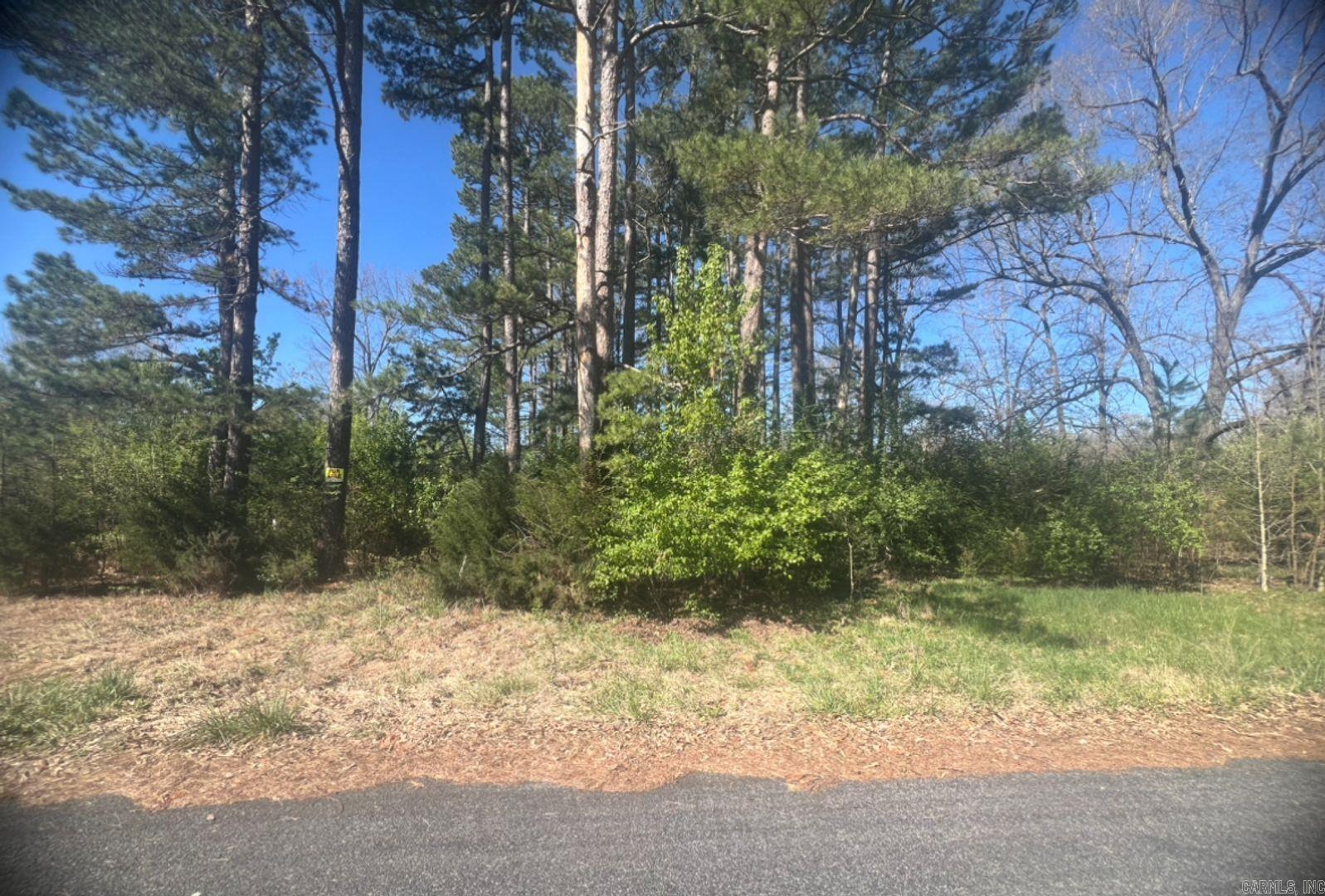 303 E Church St  Horseshoe Bend, AR