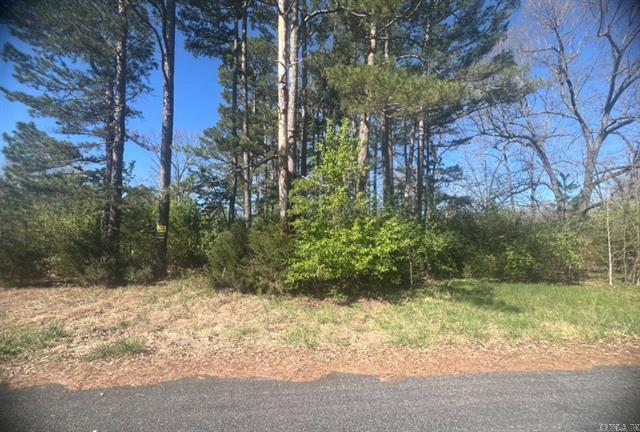 303  E Church St  Horseshoe Bend, AR