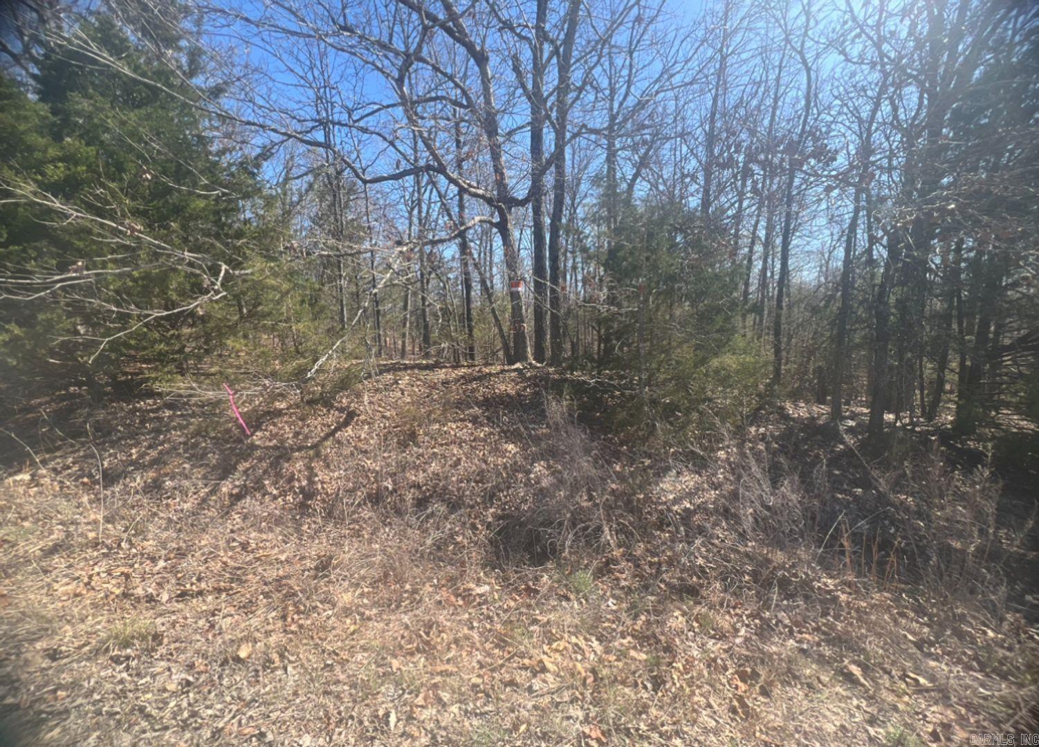 1208 Michigan Ave  Horseshoe Bend, AR