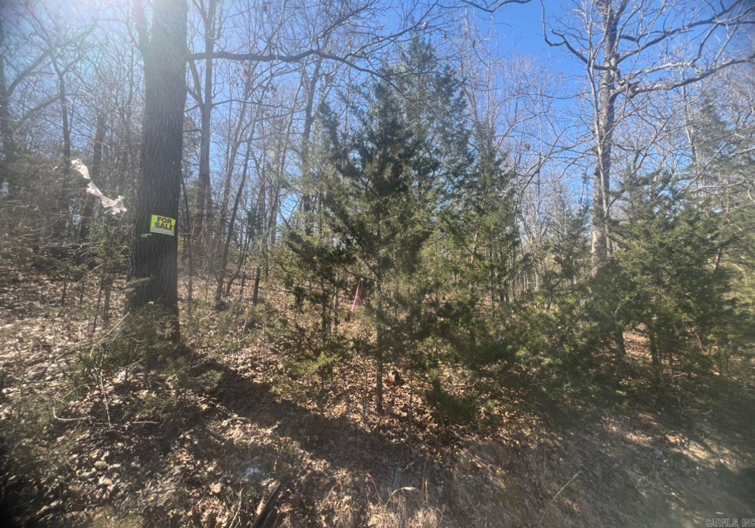 1311 E Ridge Cir  Horseshoe Bend, AR