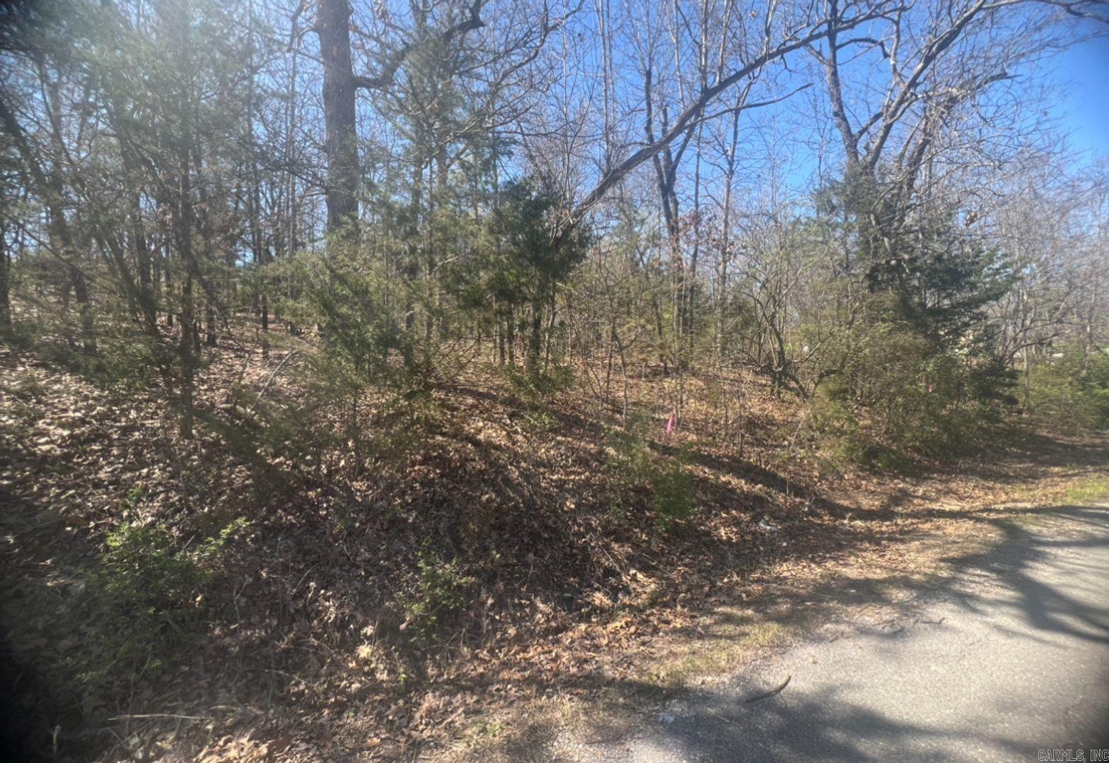 1311 E Ridge Cir  Horseshoe Bend, AR