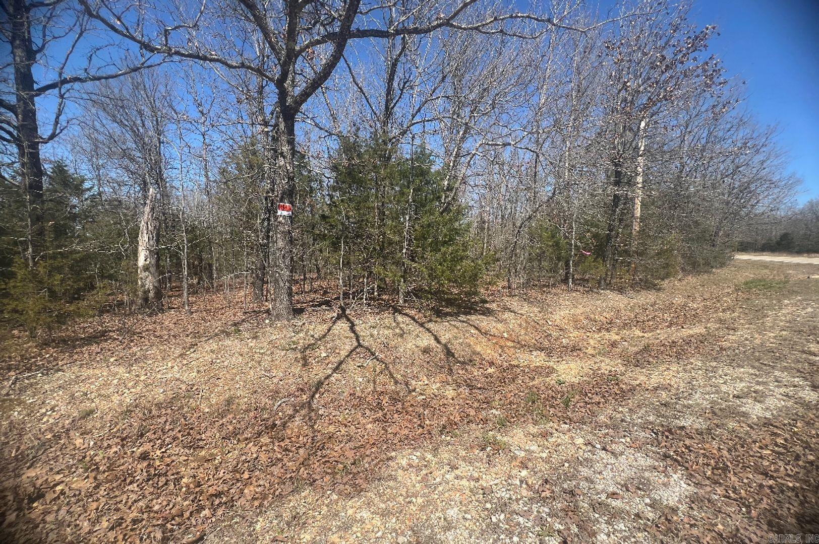 1316 W Cardinal Dr  Horseshoe Bend, AR