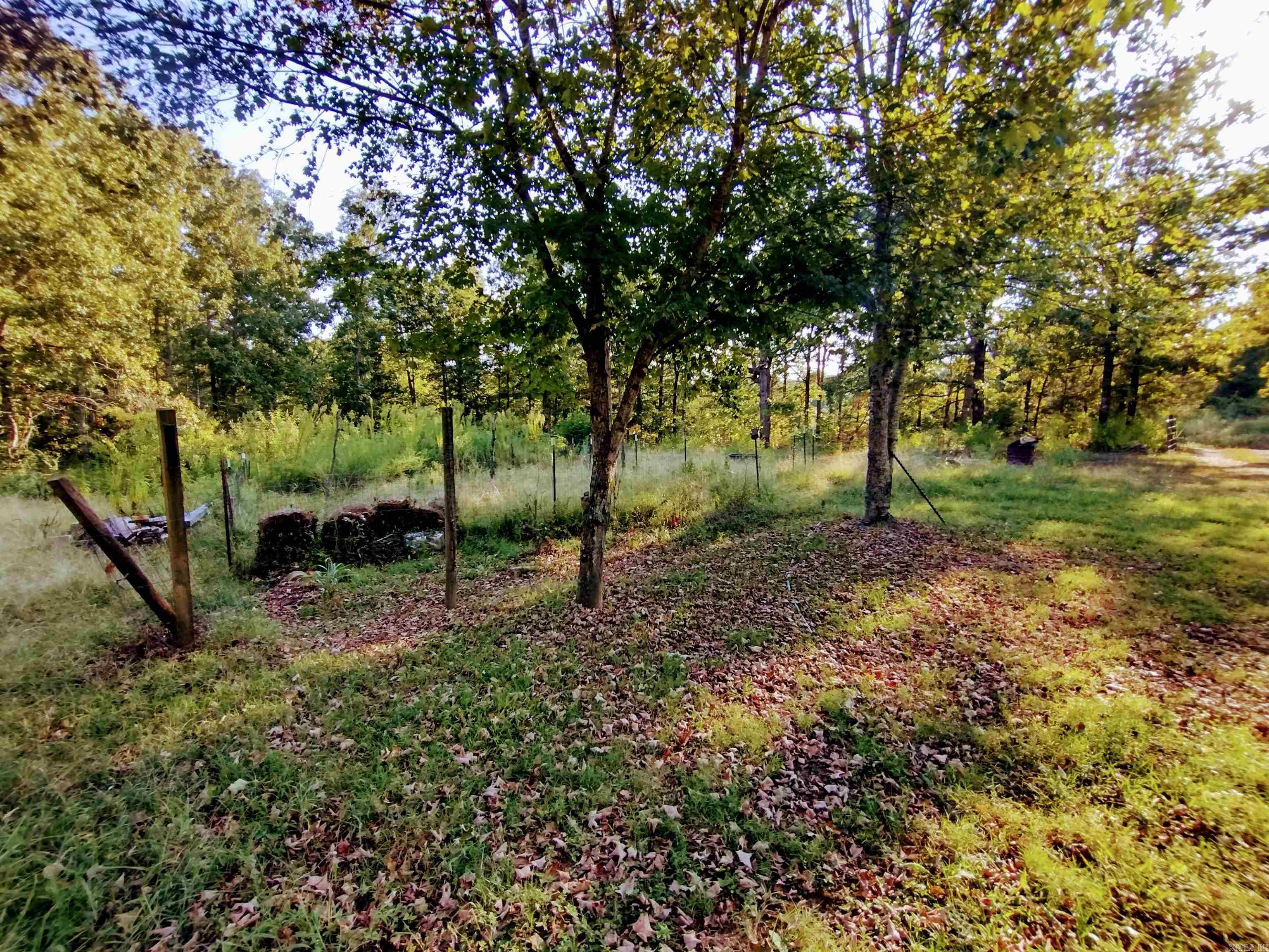 218 Cochran RD Mountain View, AR 72560