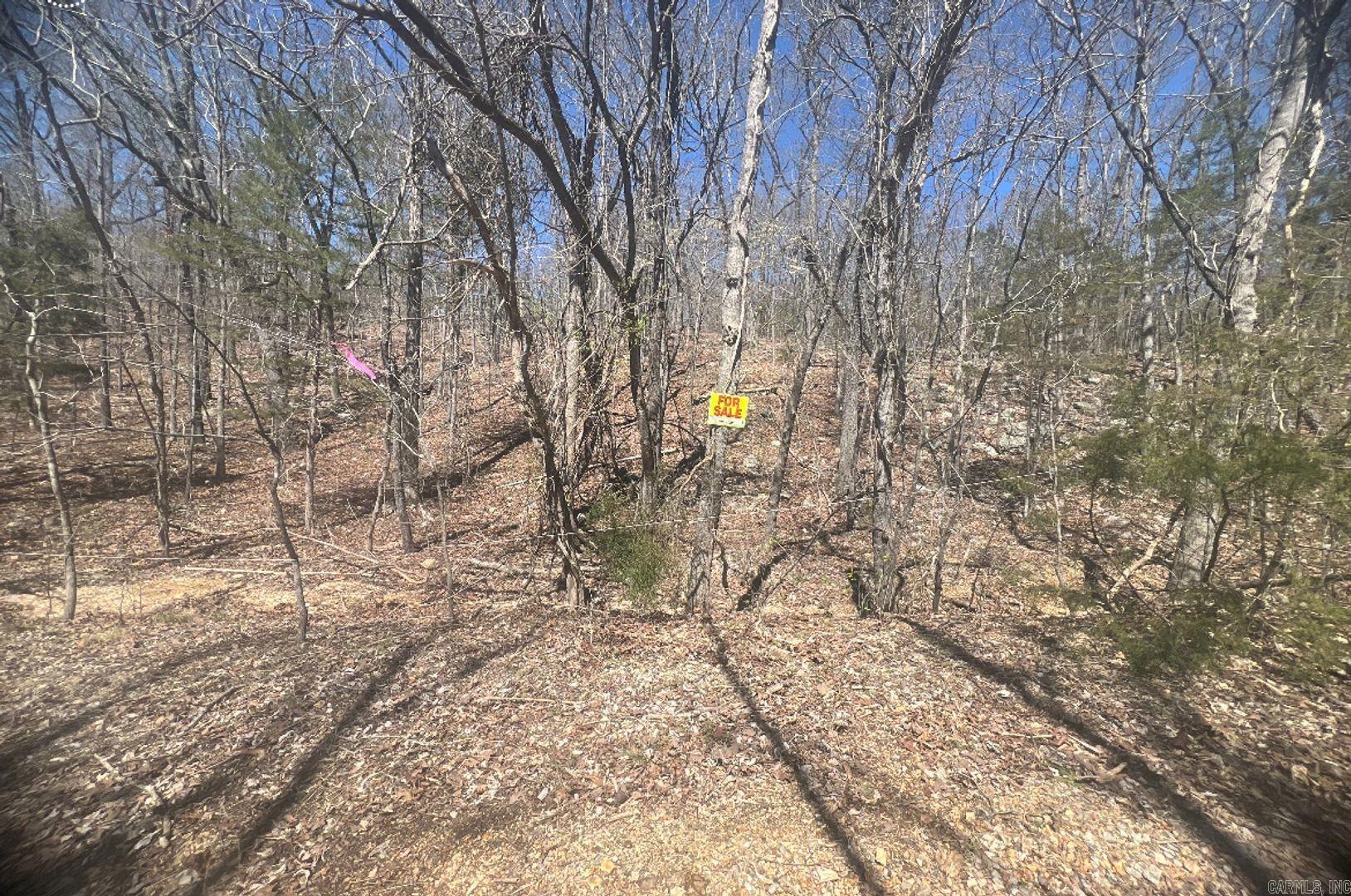 1905 Spring Dr  Horseshoe Bend, AR