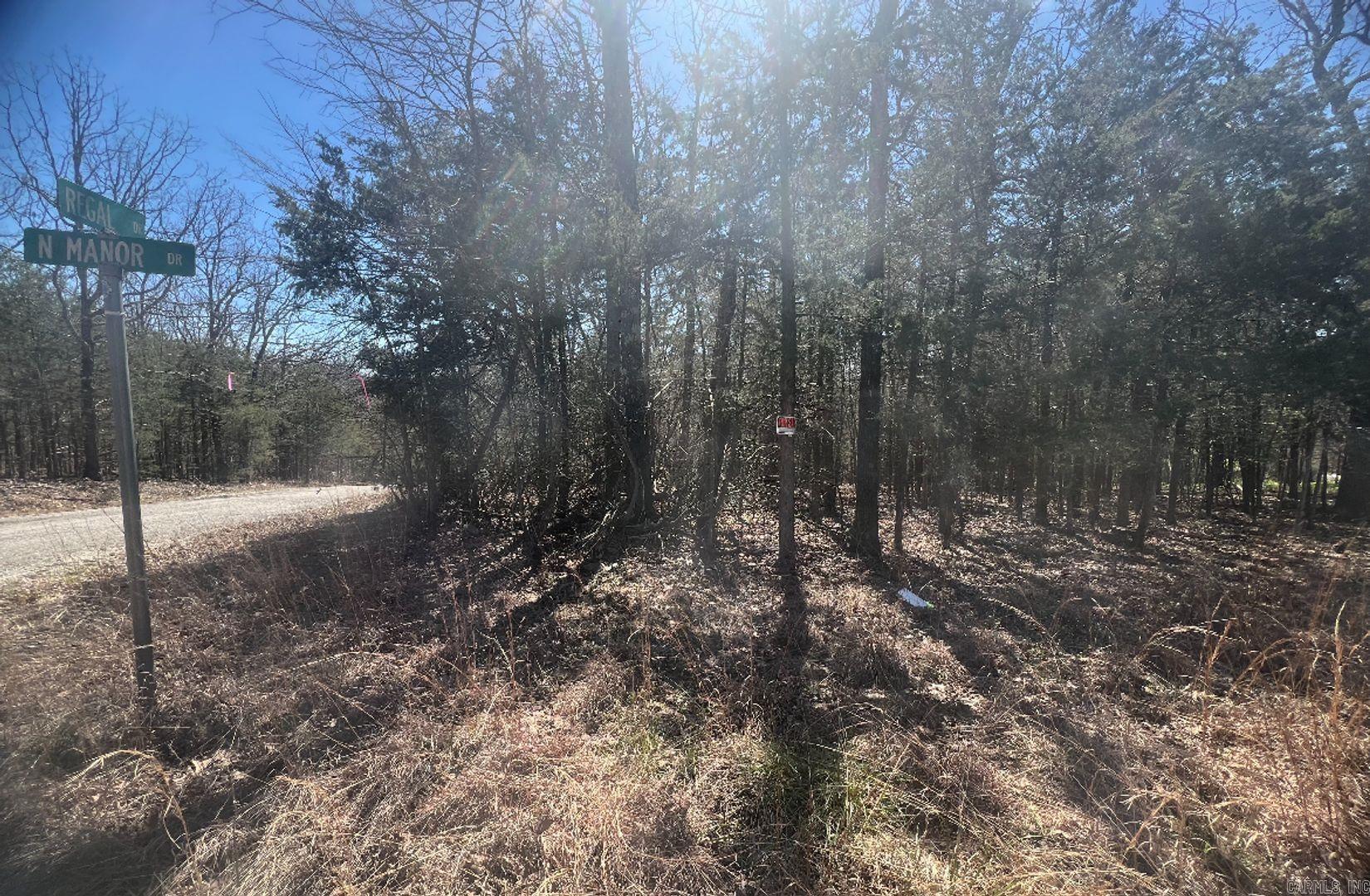 201 Regal Ln  Horseshoe Bend, AR