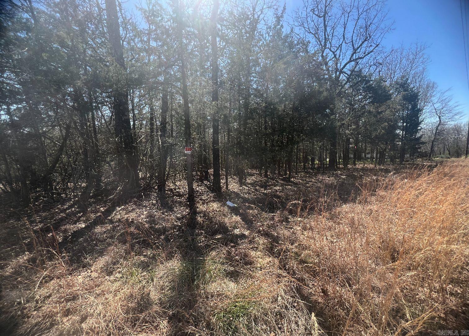 201 Regal Ln  Horseshoe Bend, AR
