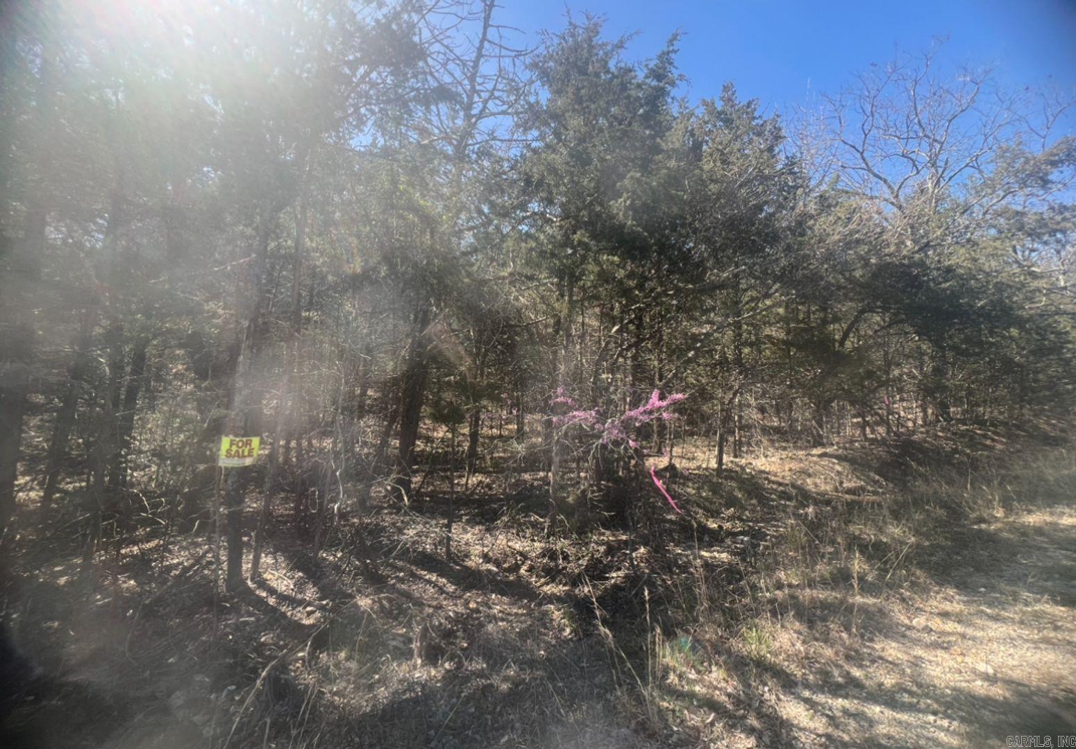 203 Pavilion Ln  Horseshoe Bend, AR