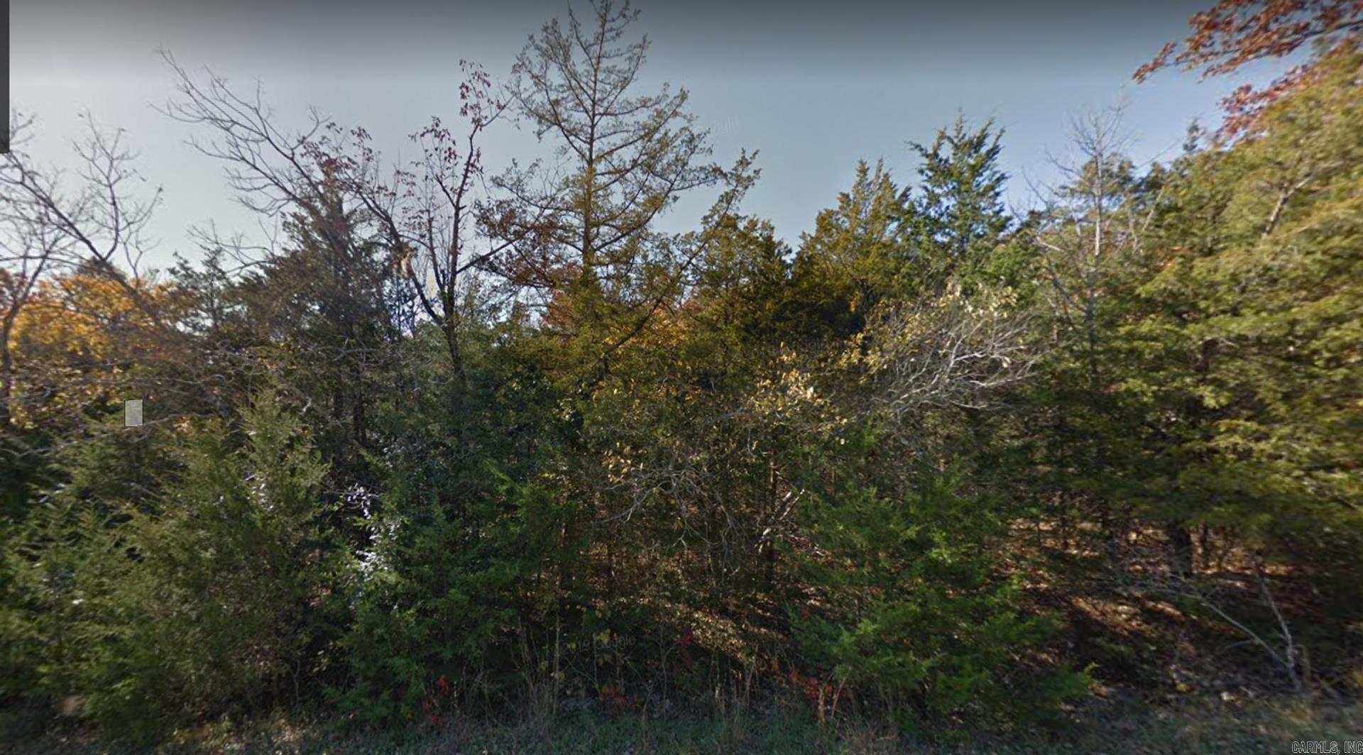 203 Pavilion Ln  Horseshoe Bend, AR