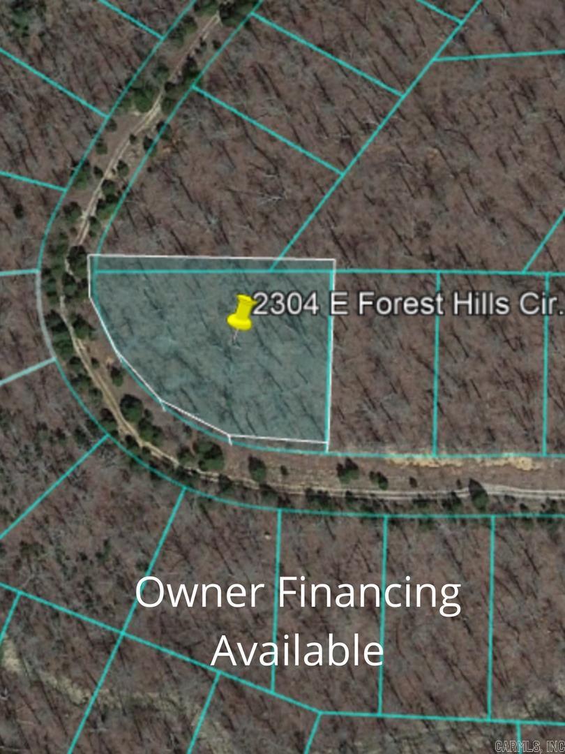 2304 E Forest Hills Cir  Horseshoe Bend, AR