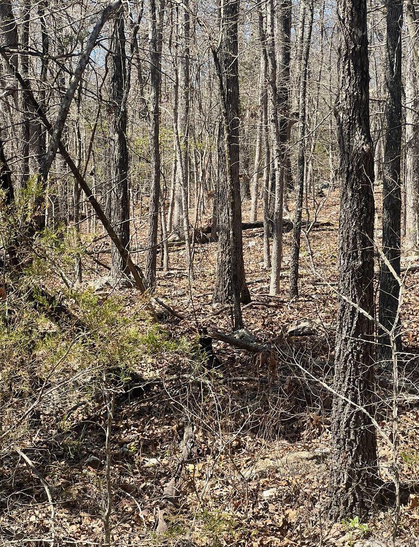 423 Hiawatha Cir  Horseshoe Bend, AR