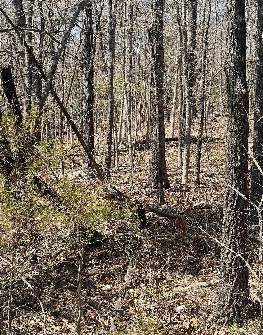 605 W Forest Hills Cir  Horseshoe Bend, AR