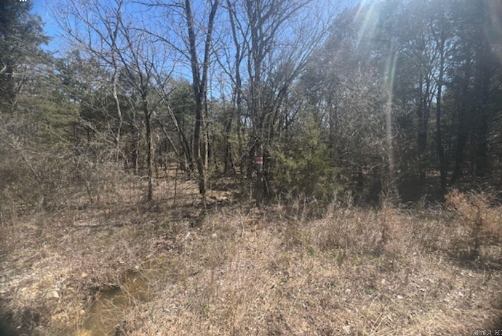 707 W Tri Lakes Dr  Horseshoe Bend, AR
