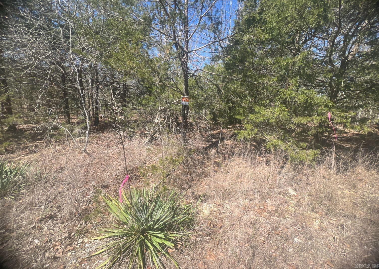 809 Diamond Cove Ln  Horseshoe Bend, AR