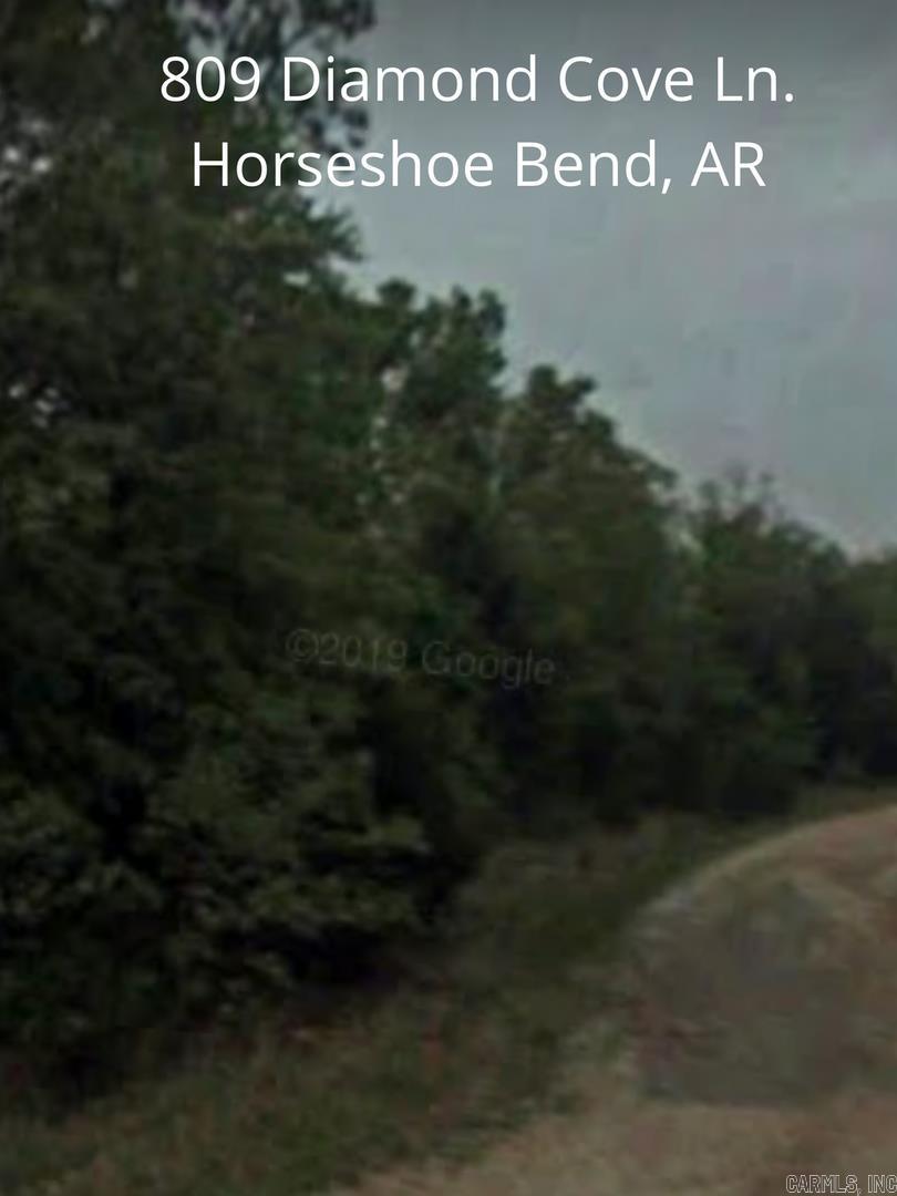 809 Diamond Cove Ln  Horseshoe Bend, AR