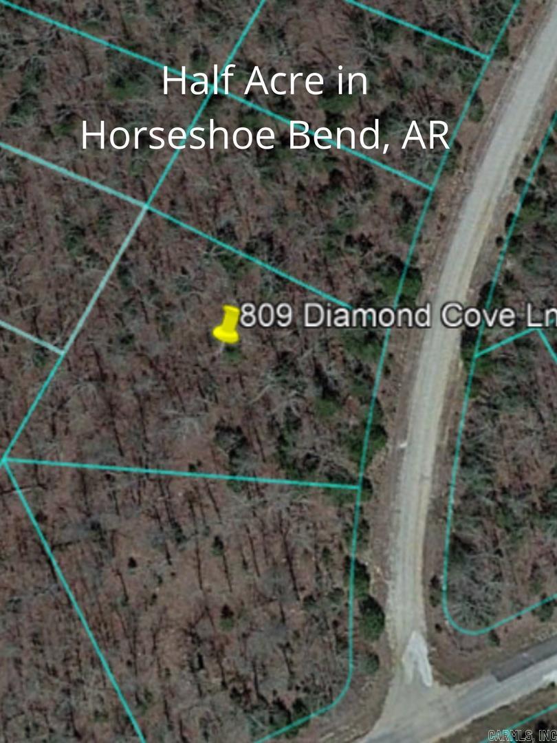 809 Diamond Cove Ln  Horseshoe Bend, AR