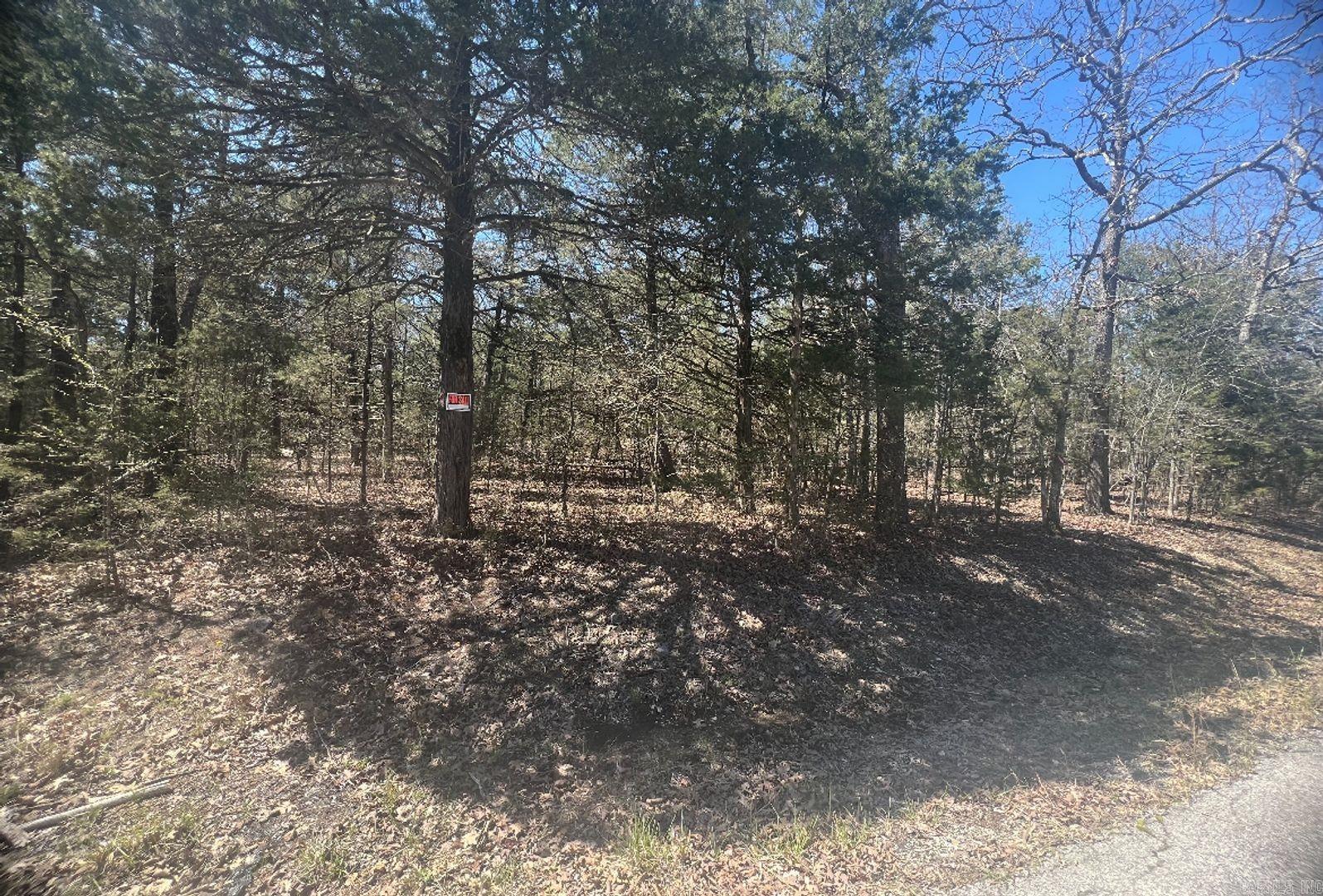 902 Cedar Lake Dr  Horseshoe Bend, AR