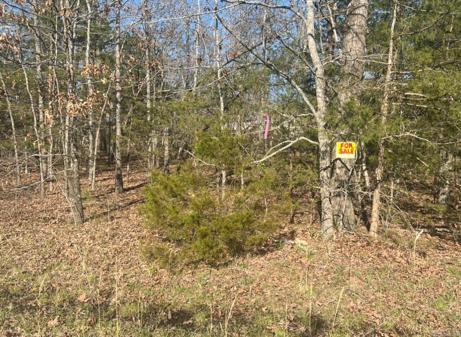 0 Enterprise Lane  Horseshoe Bend, AR