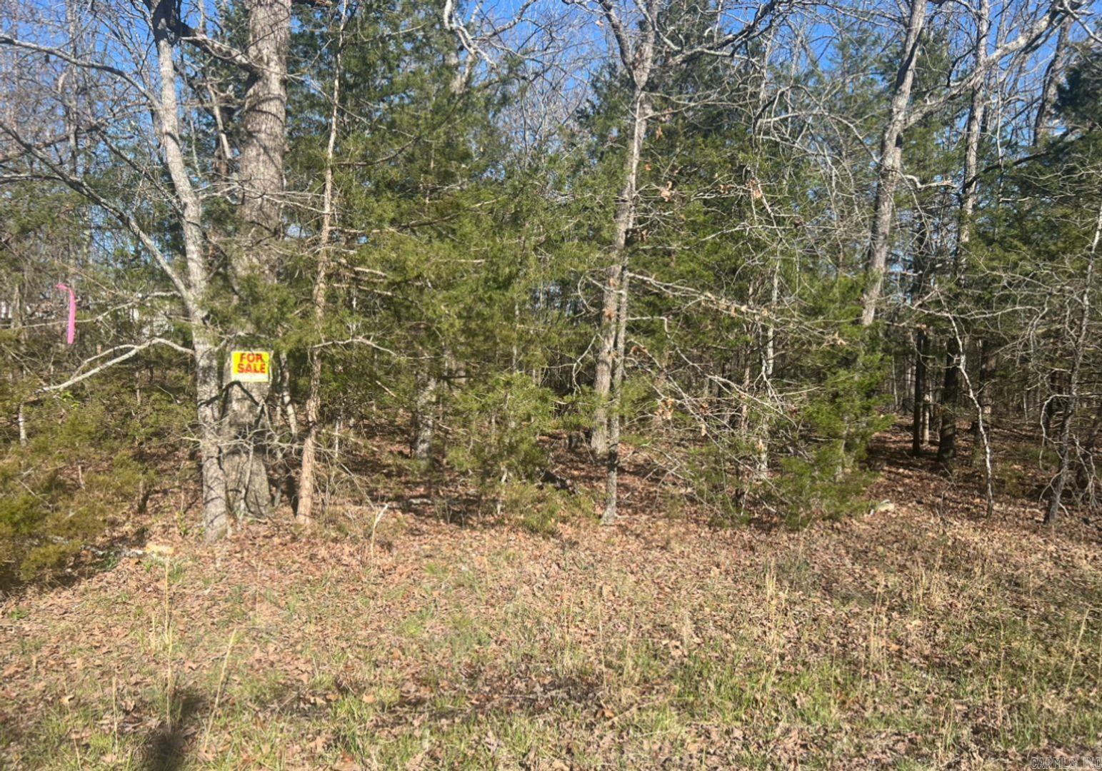 0 Enterprise Lane  Horseshoe Bend, AR