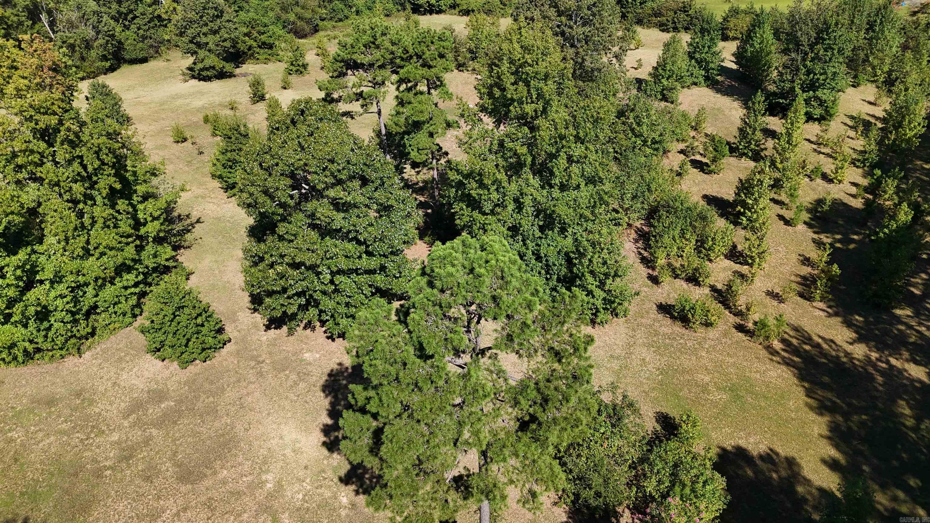 1057 Henderson  Clinton, AR