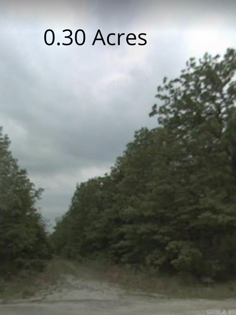 1004 Walnut Ln  Horseshoe Bend, AR