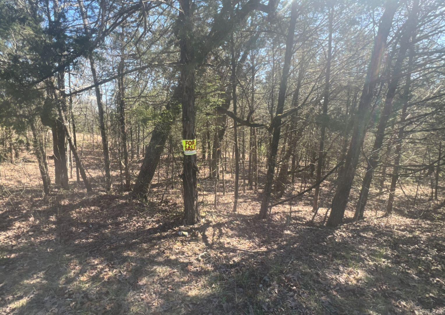 203 Fairway Dr  Horseshoe Bend, AR