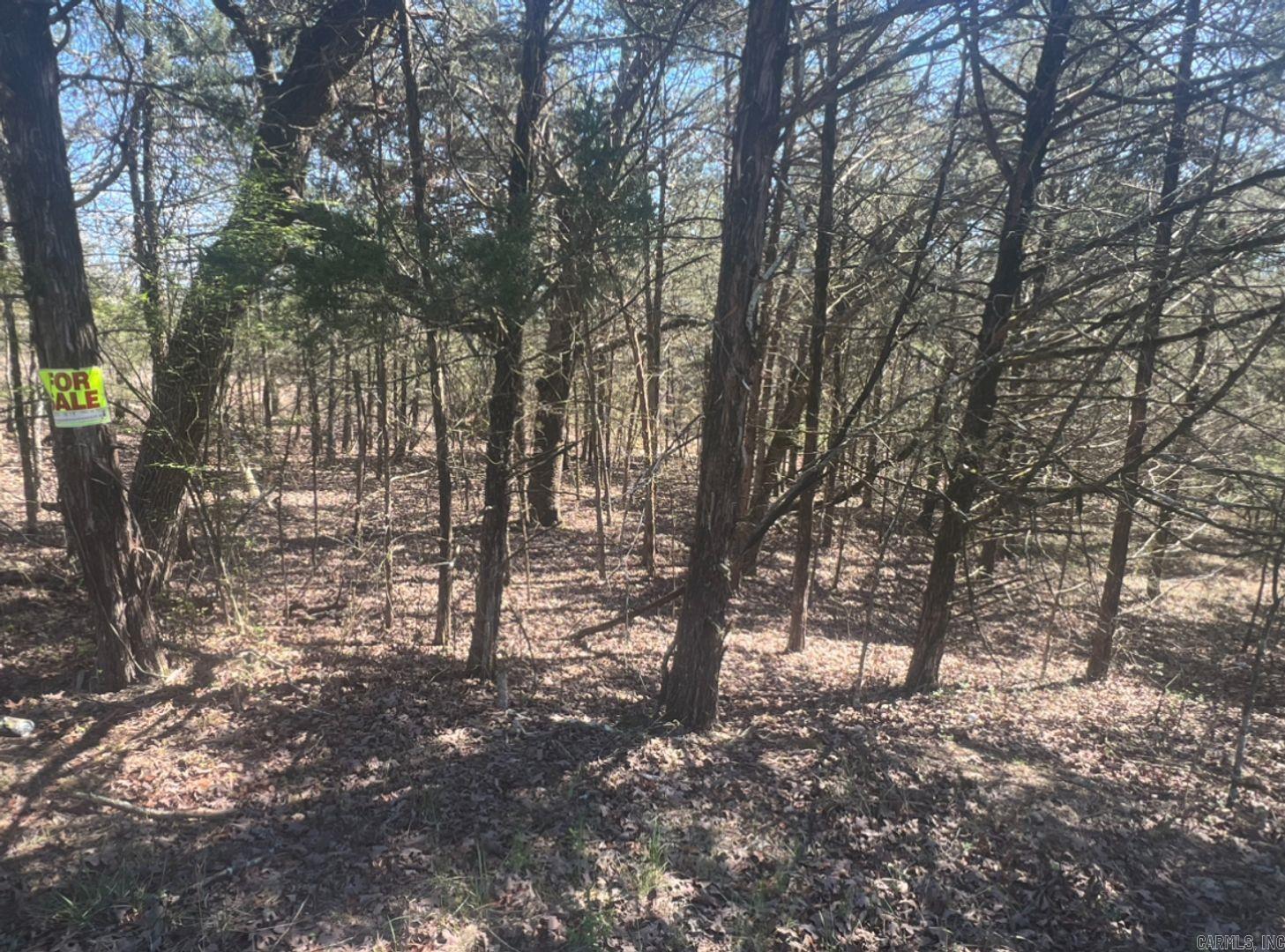 203 Fairway Dr  Horseshoe Bend, AR