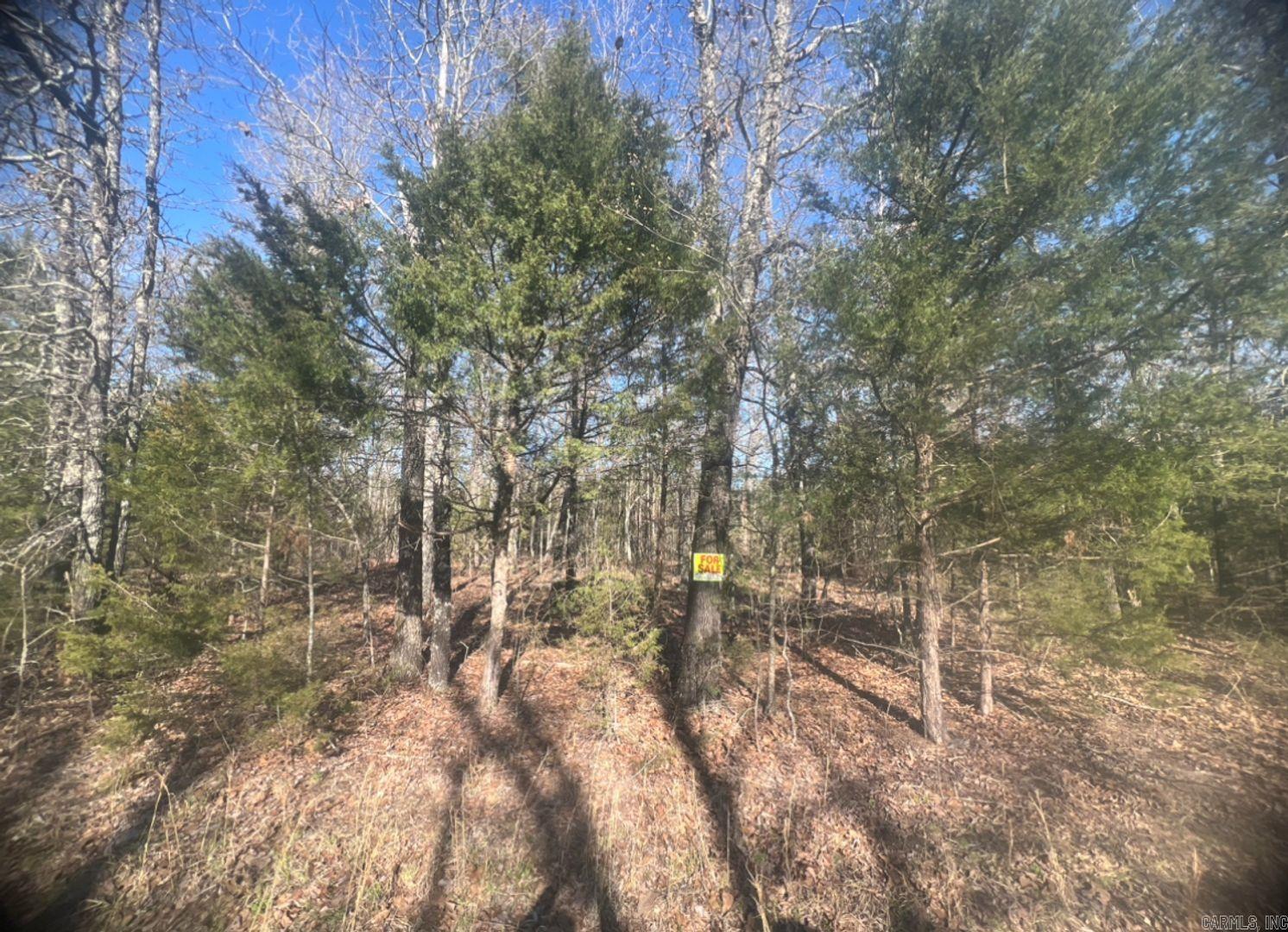 0 Enterprise Lane  Horseshoe Bend, AR