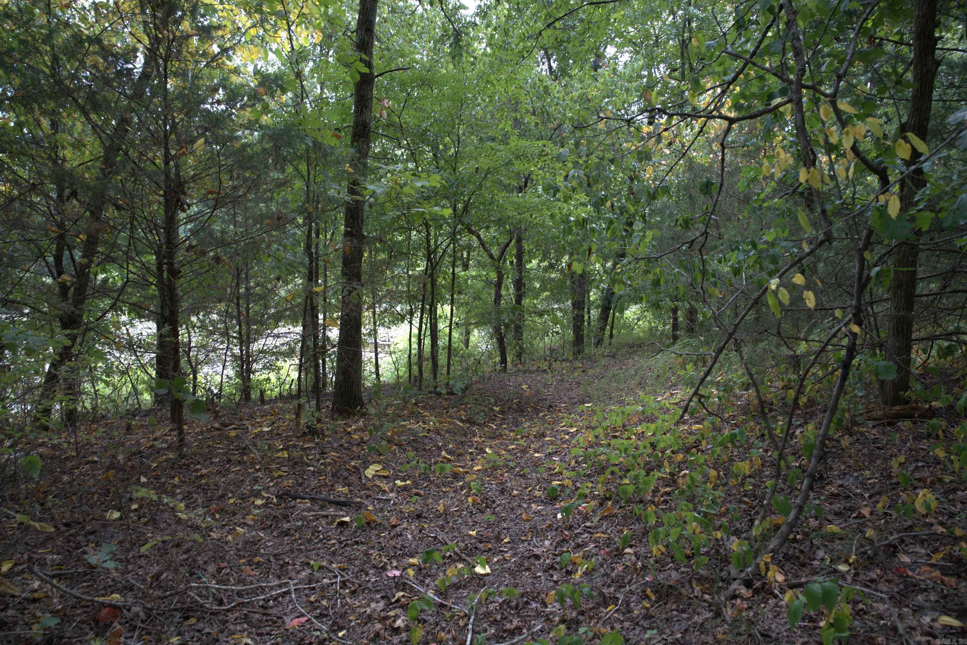 0 Copeland  Romance, AR