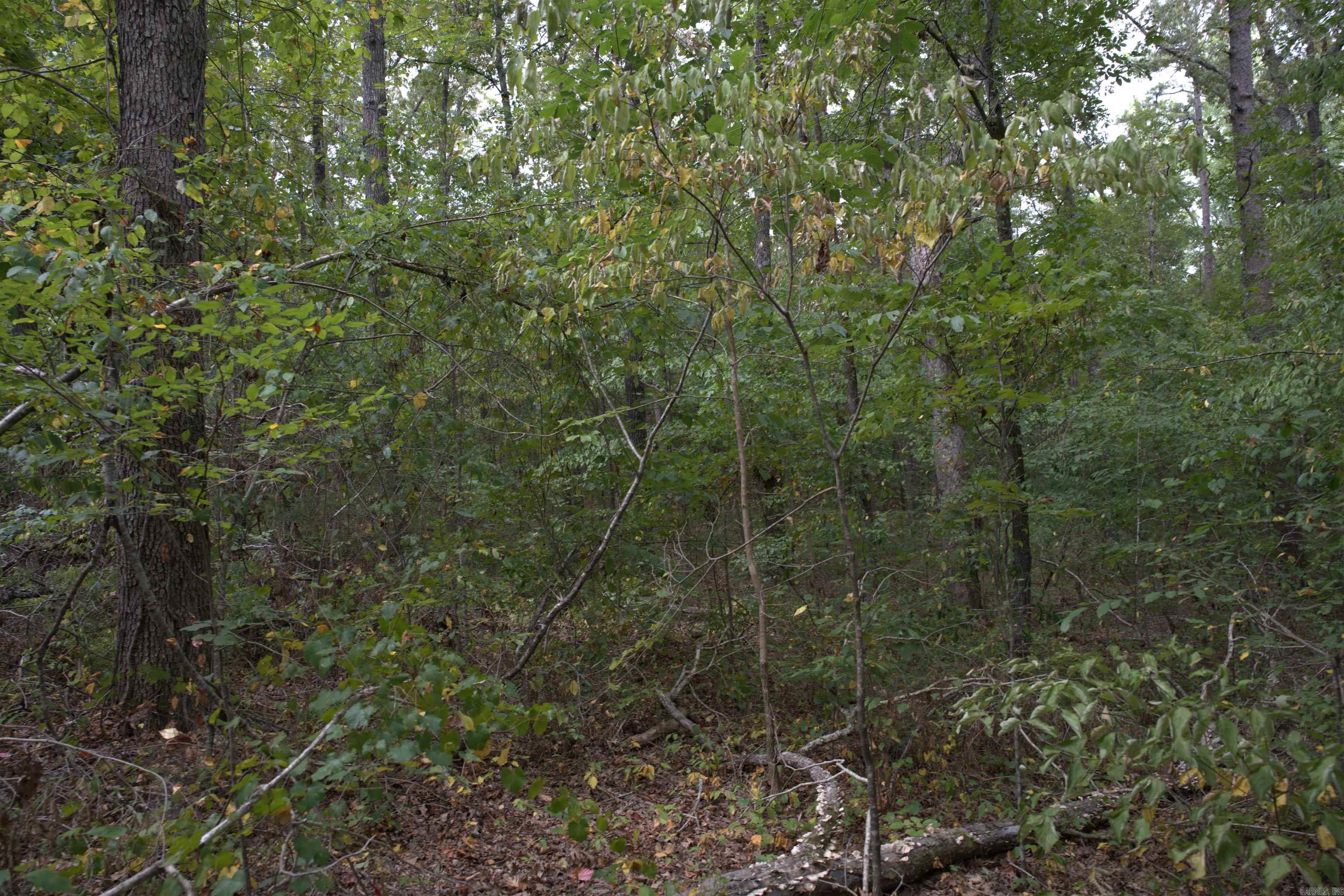 0 Copeland  Romance, AR